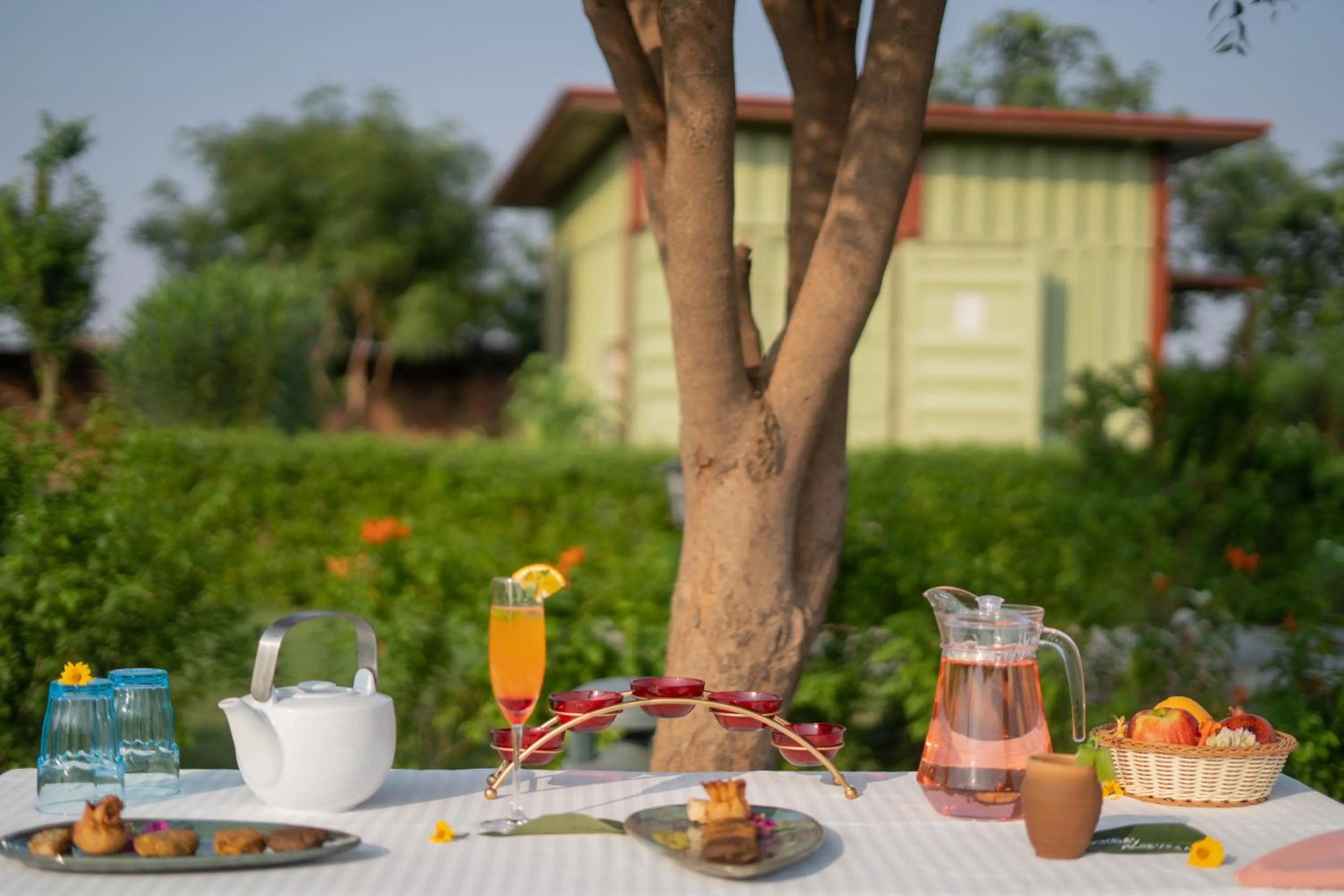 Restaurant/places to eat in Tree of Life Ecotainers Agra