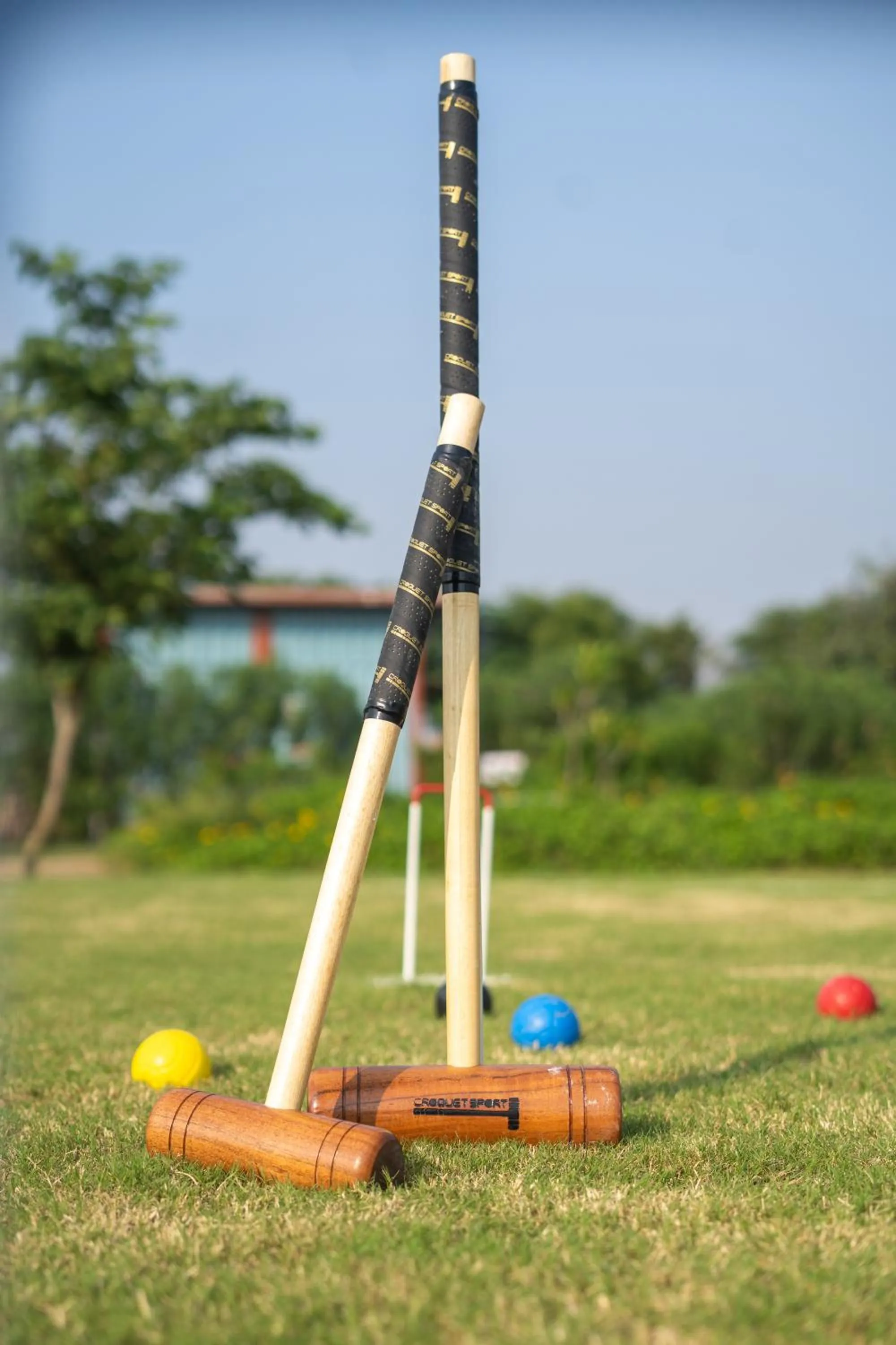 Activities in Tree of Life Ecotainers Agra