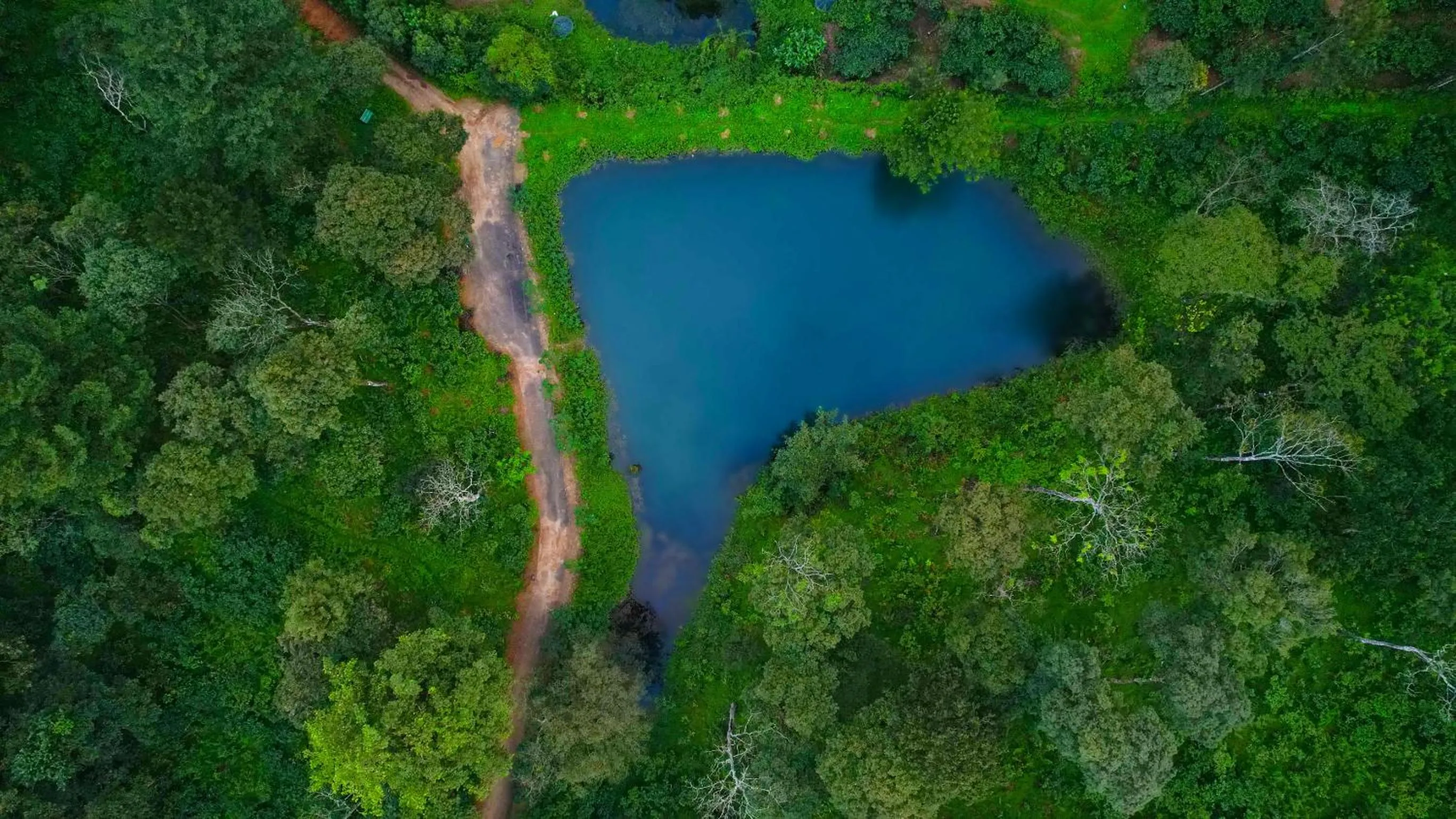 Natural landscape in Magnolia Estates & Resorts