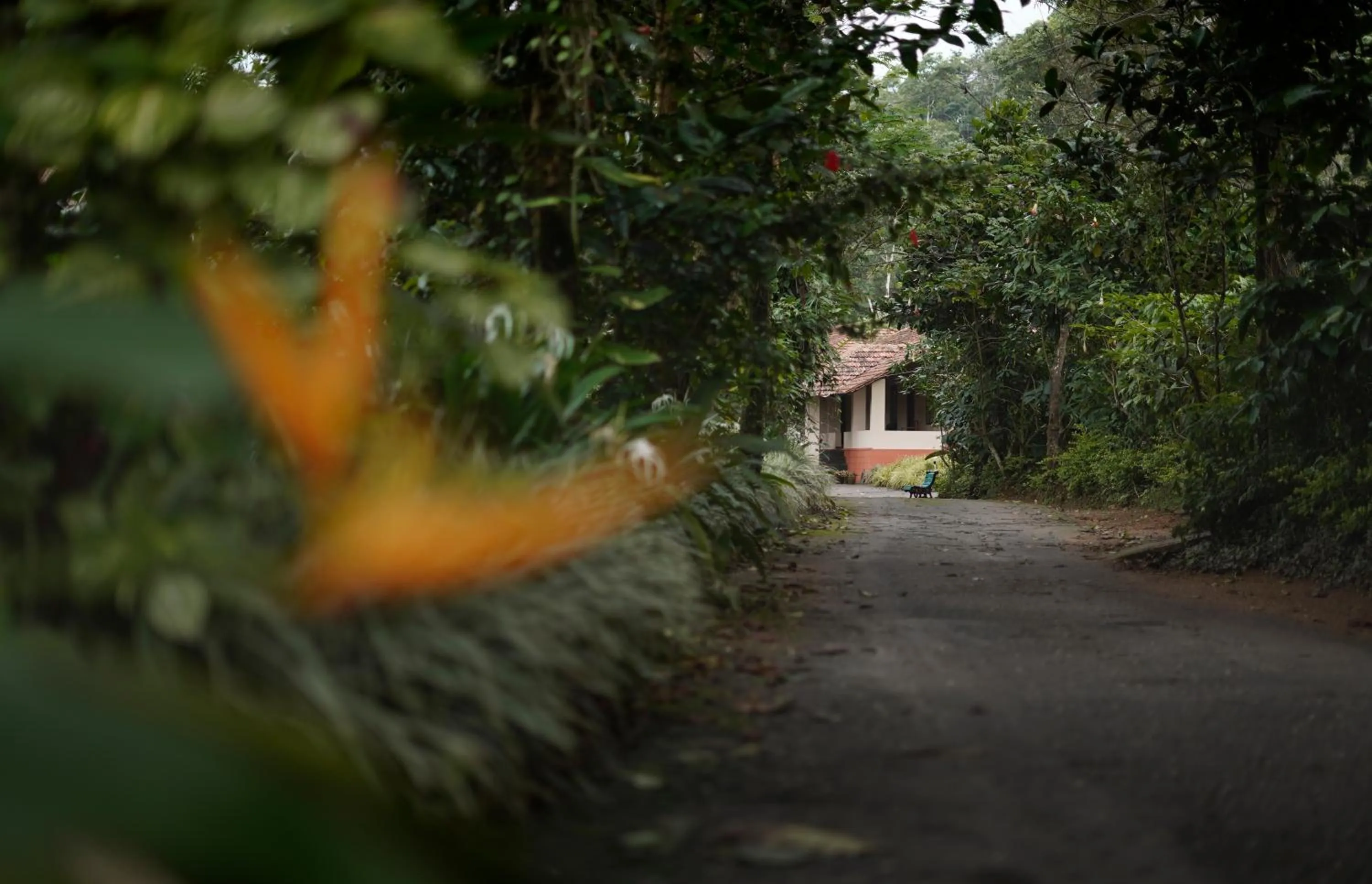 Garden view in Magnolia Estates & Resorts