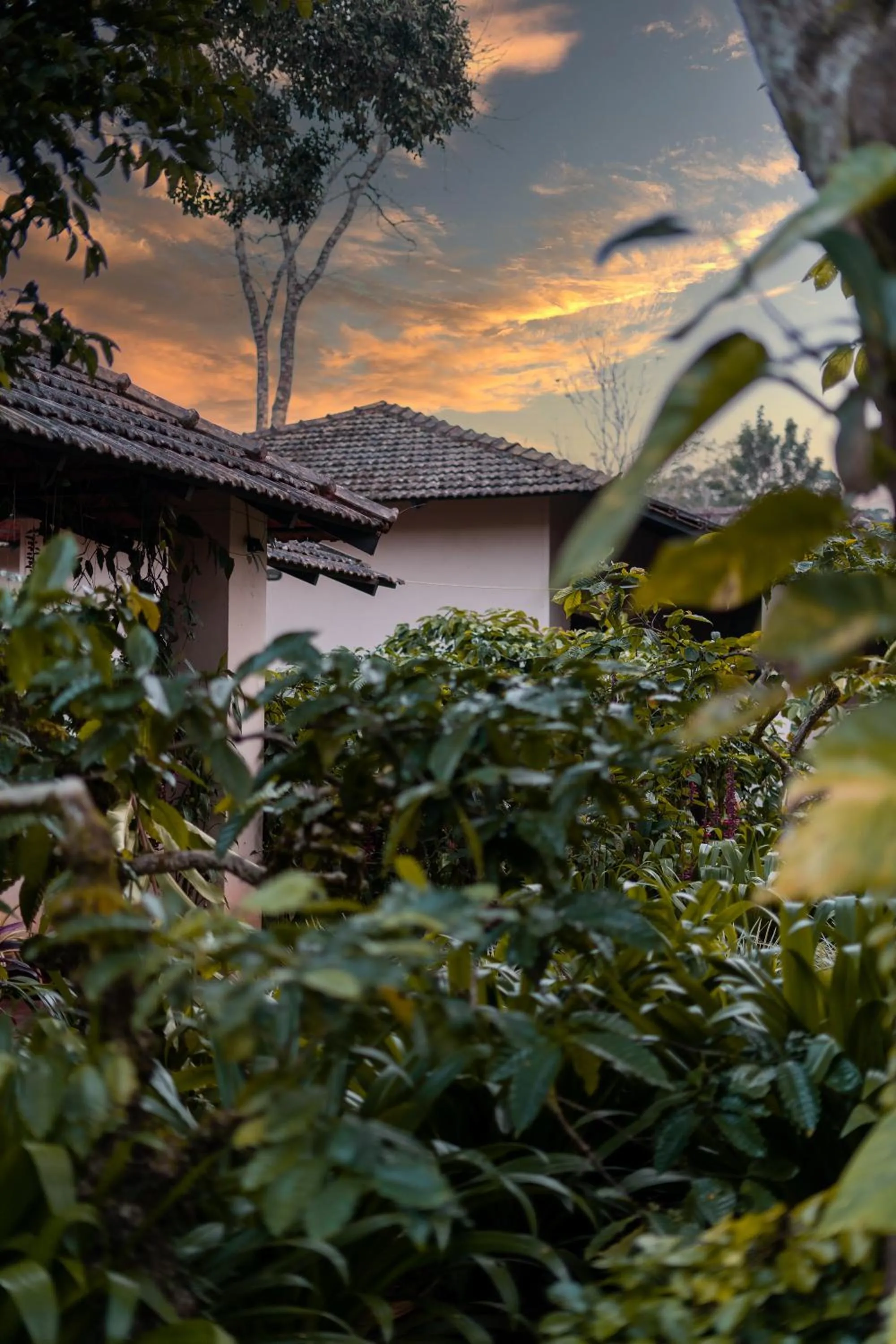 Garden in Magnolia Estates & Resorts