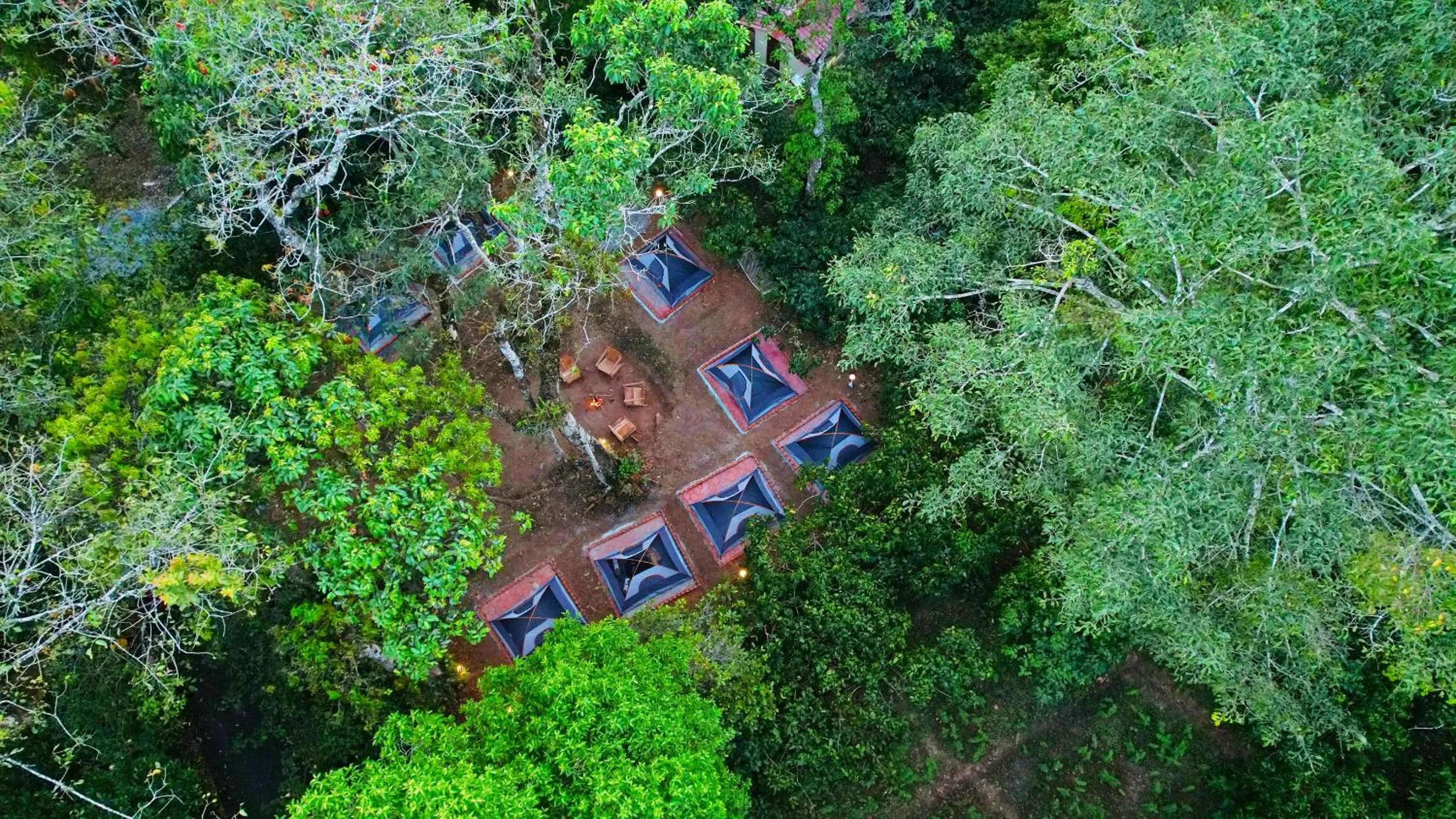 Bird's eye view in Magnolia Estates & Resorts