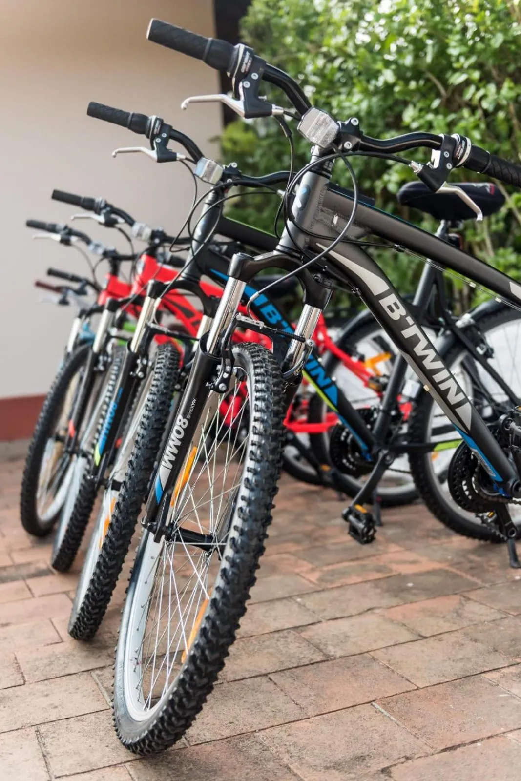 Cycling in Magnolia Estates & Resorts