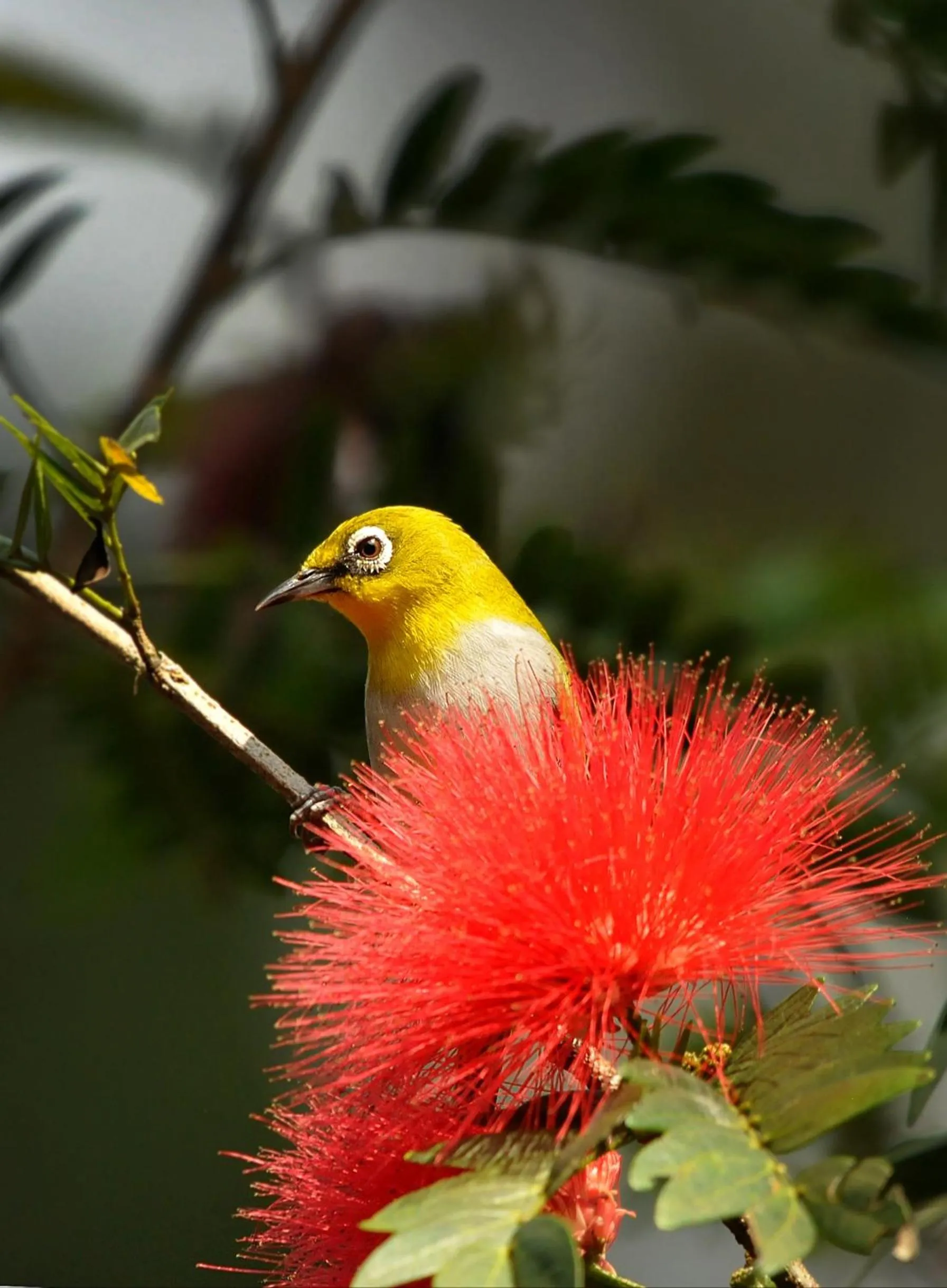 Activities in Magnolia Estates & Resorts