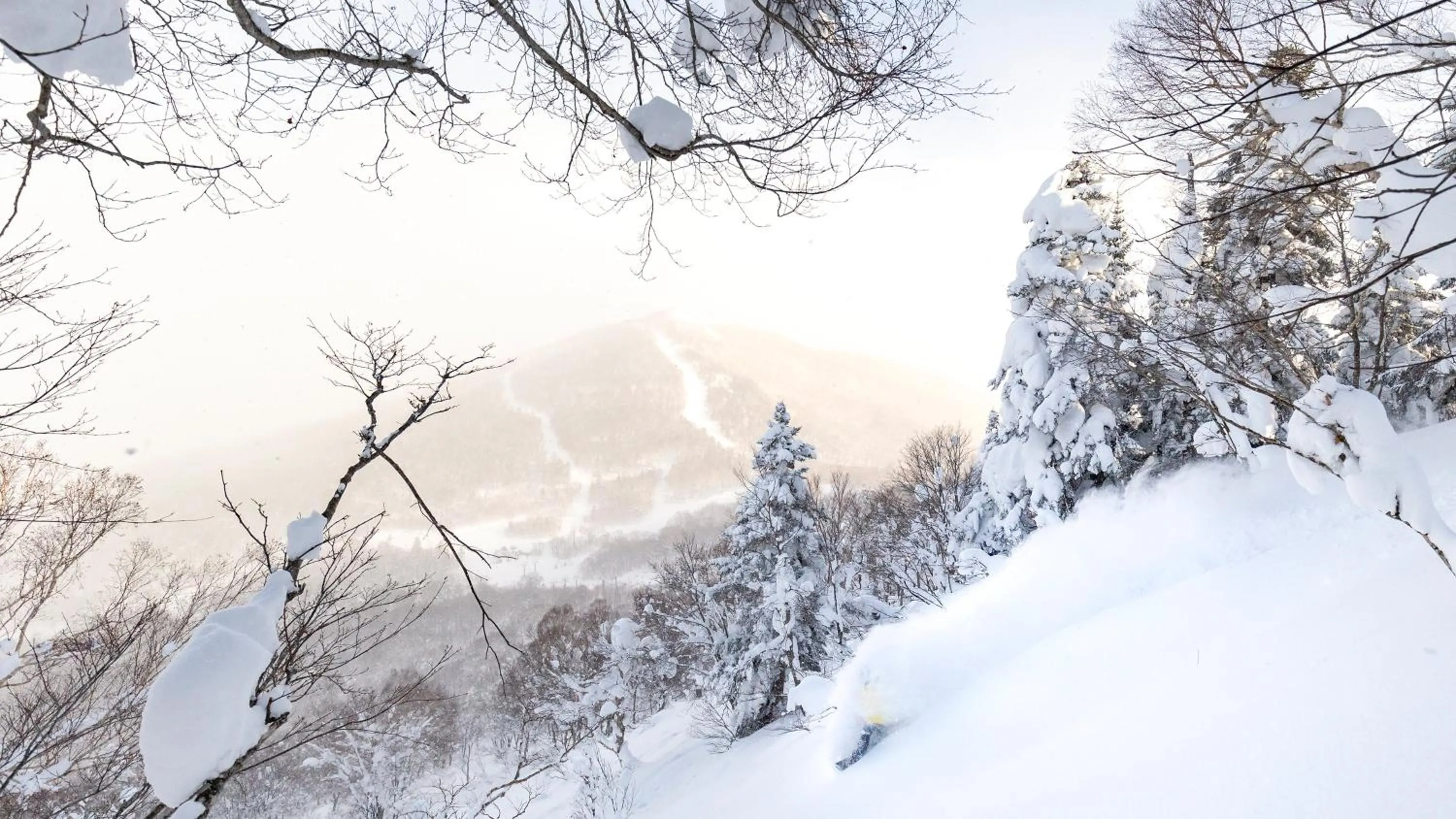 Nearby landmark in ANA InterContinental Appi Kogen Resort by IHG