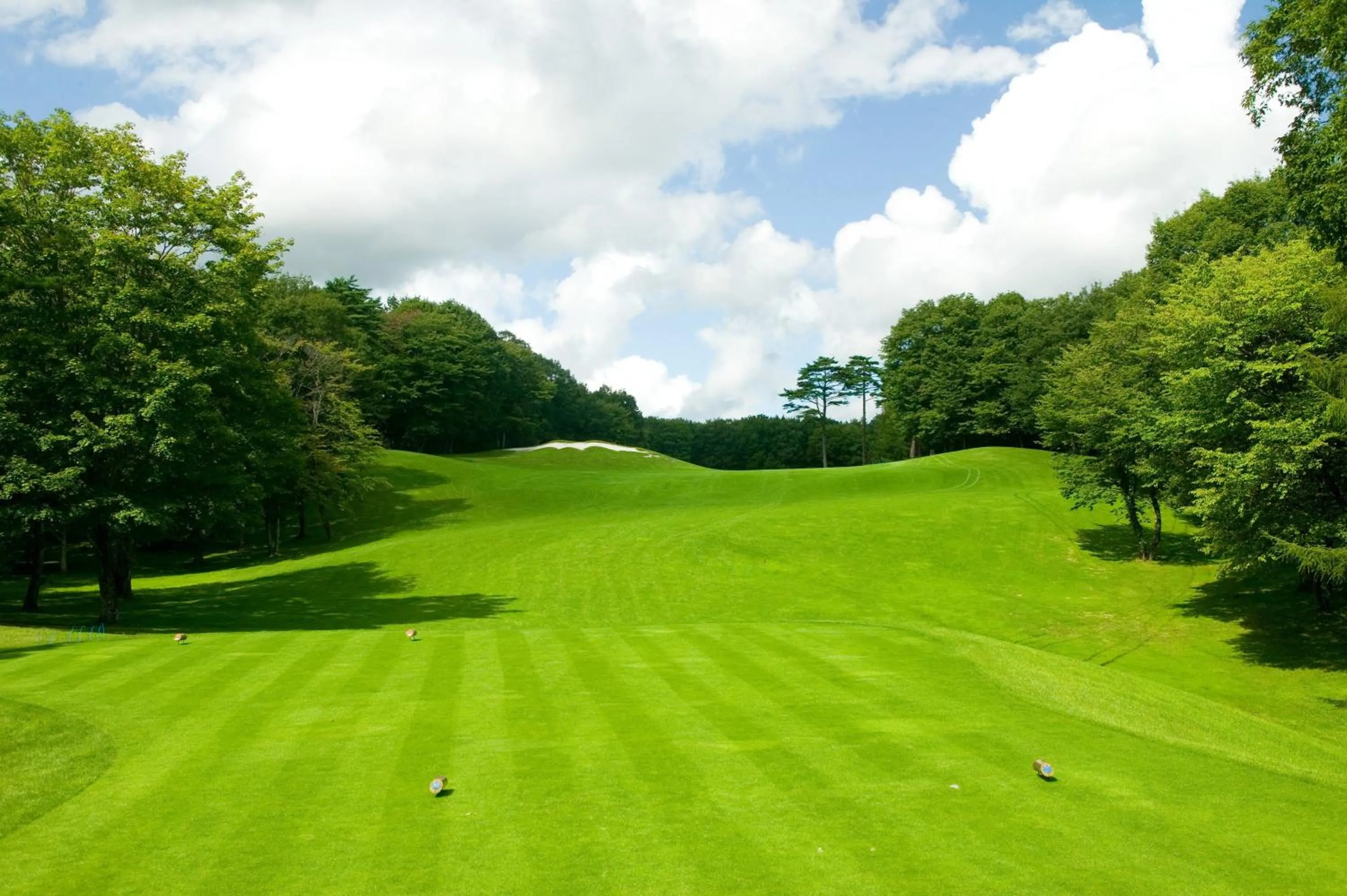 Golfcourse in ANA InterContinental Appi Kogen Resort by IHG