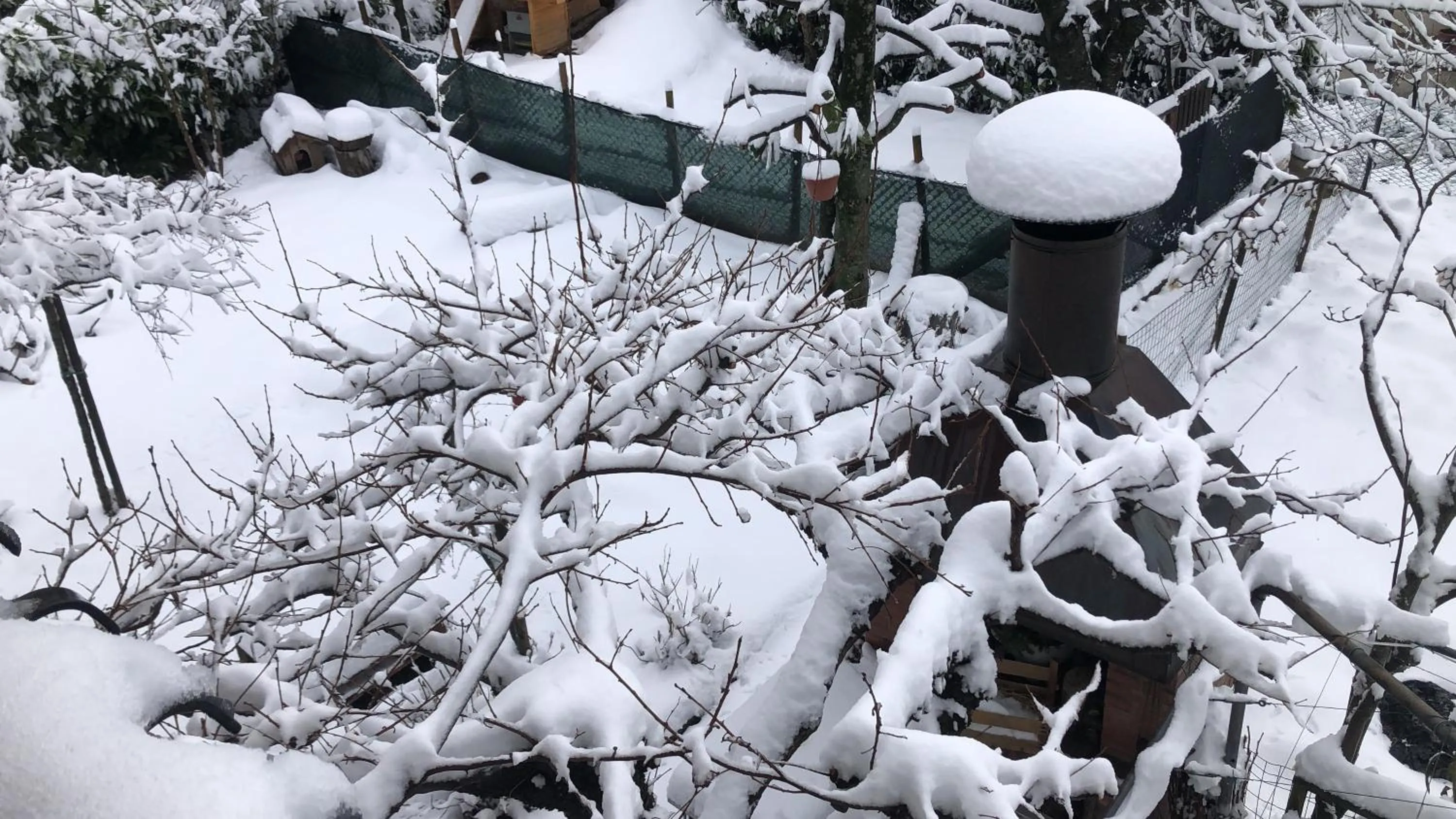 Garden in B&B Curva della Palma