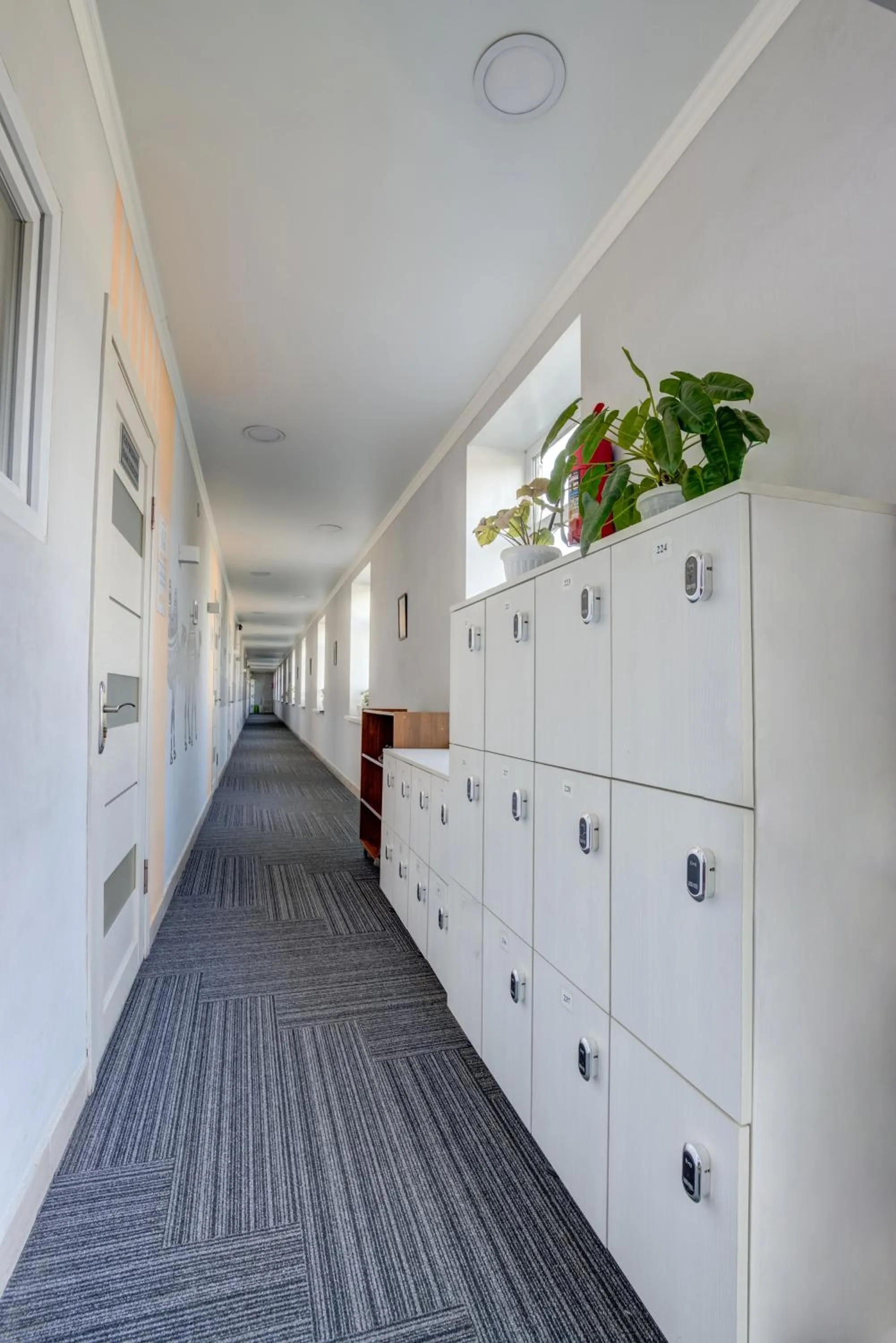 microwave in Viva Hotel