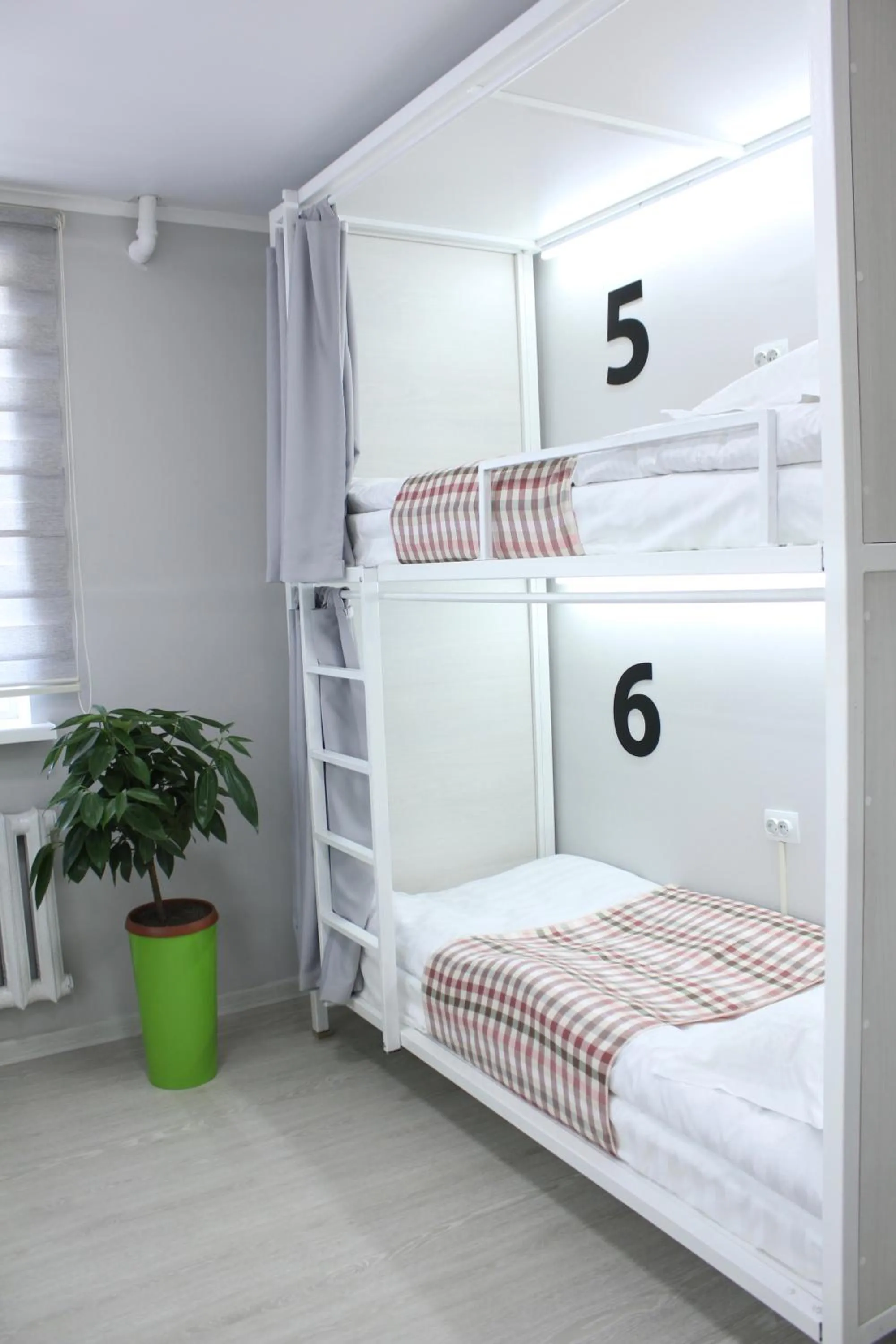 bunk bed, Bed in Viva Hotel