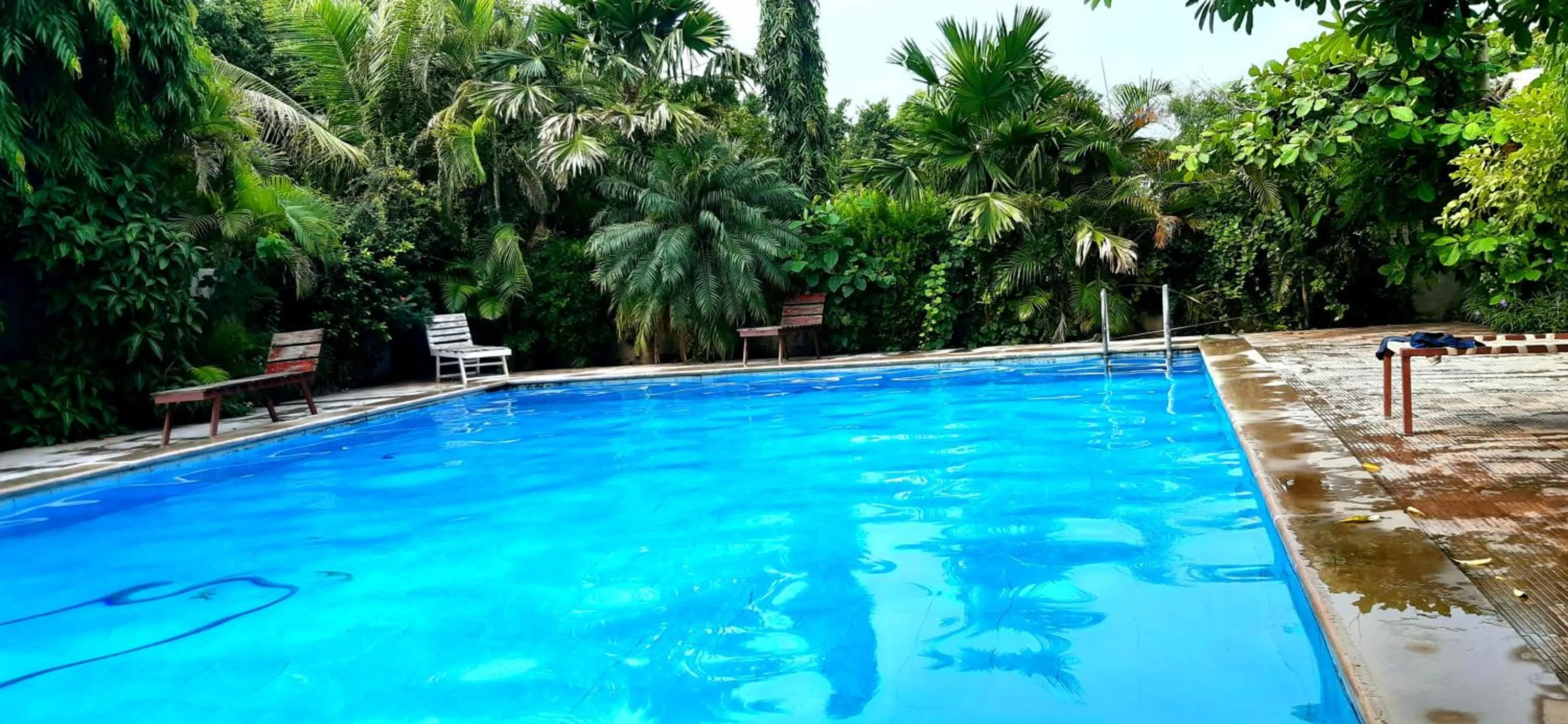 Swimming pool in Green Park Resort