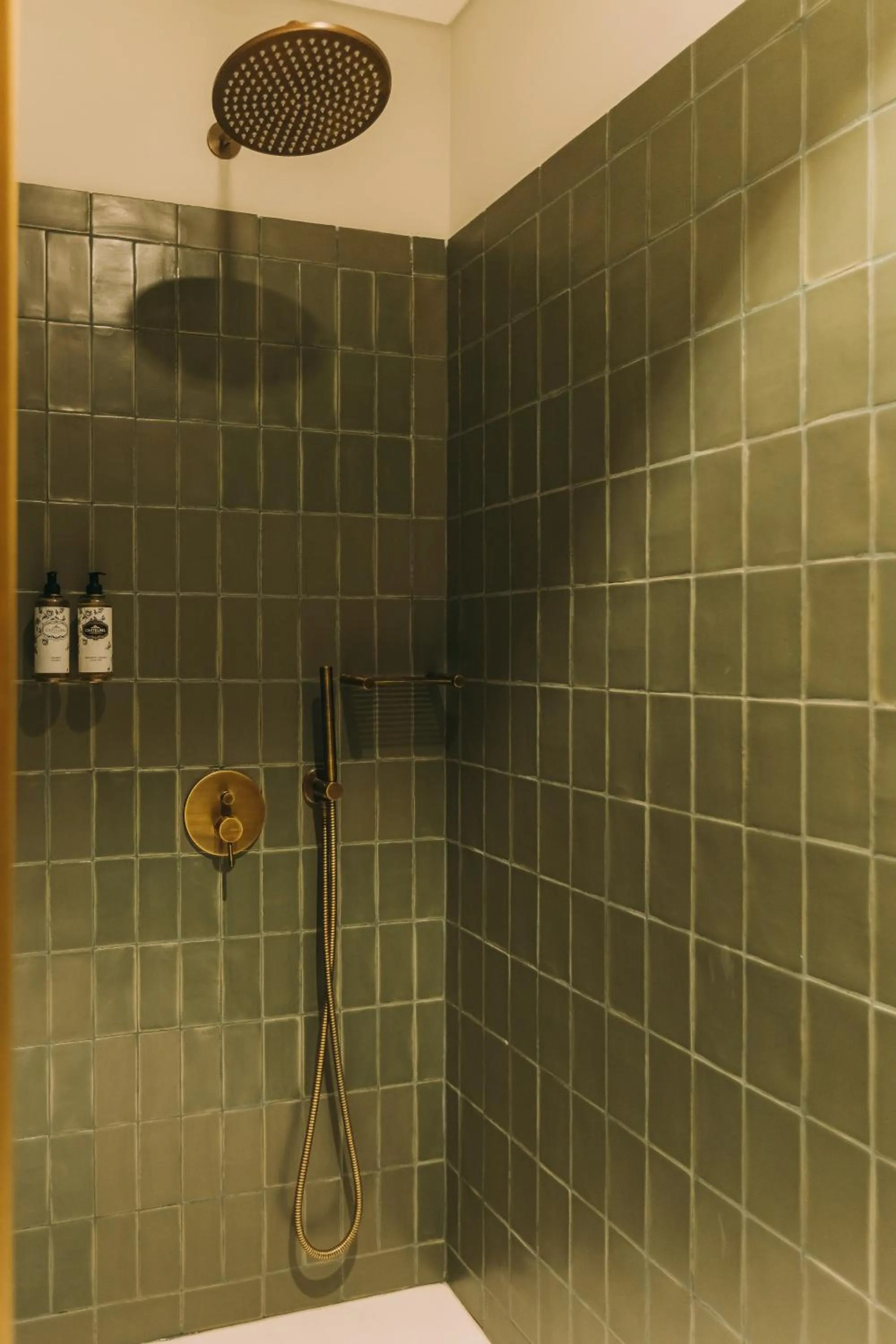 Shower in Torel Saboaria