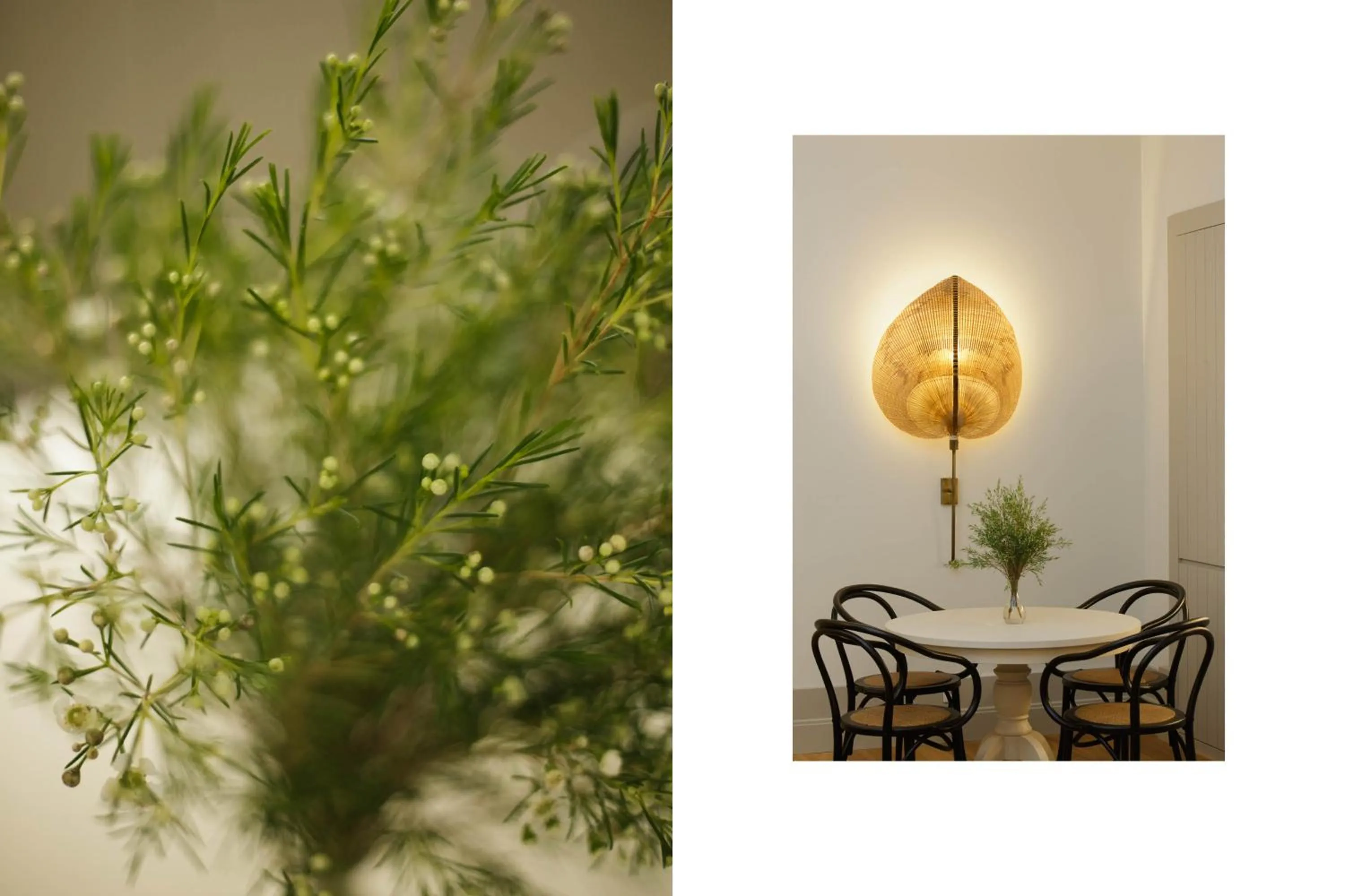 Decorative detail in Torel Saboaria