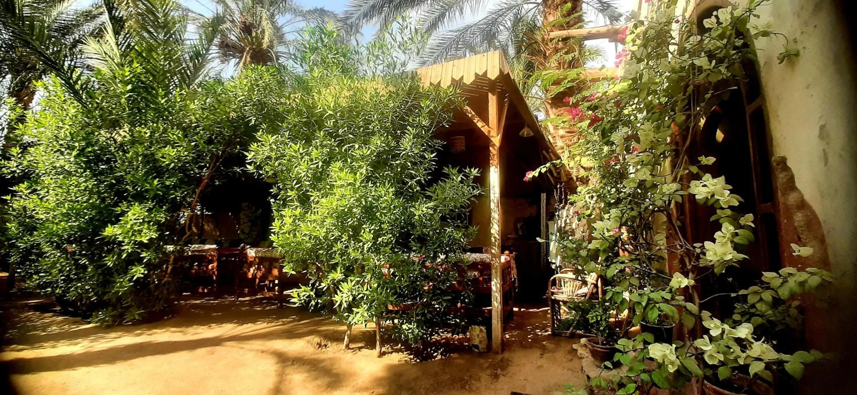 Restaurant/places to eat in Nour El Gourna