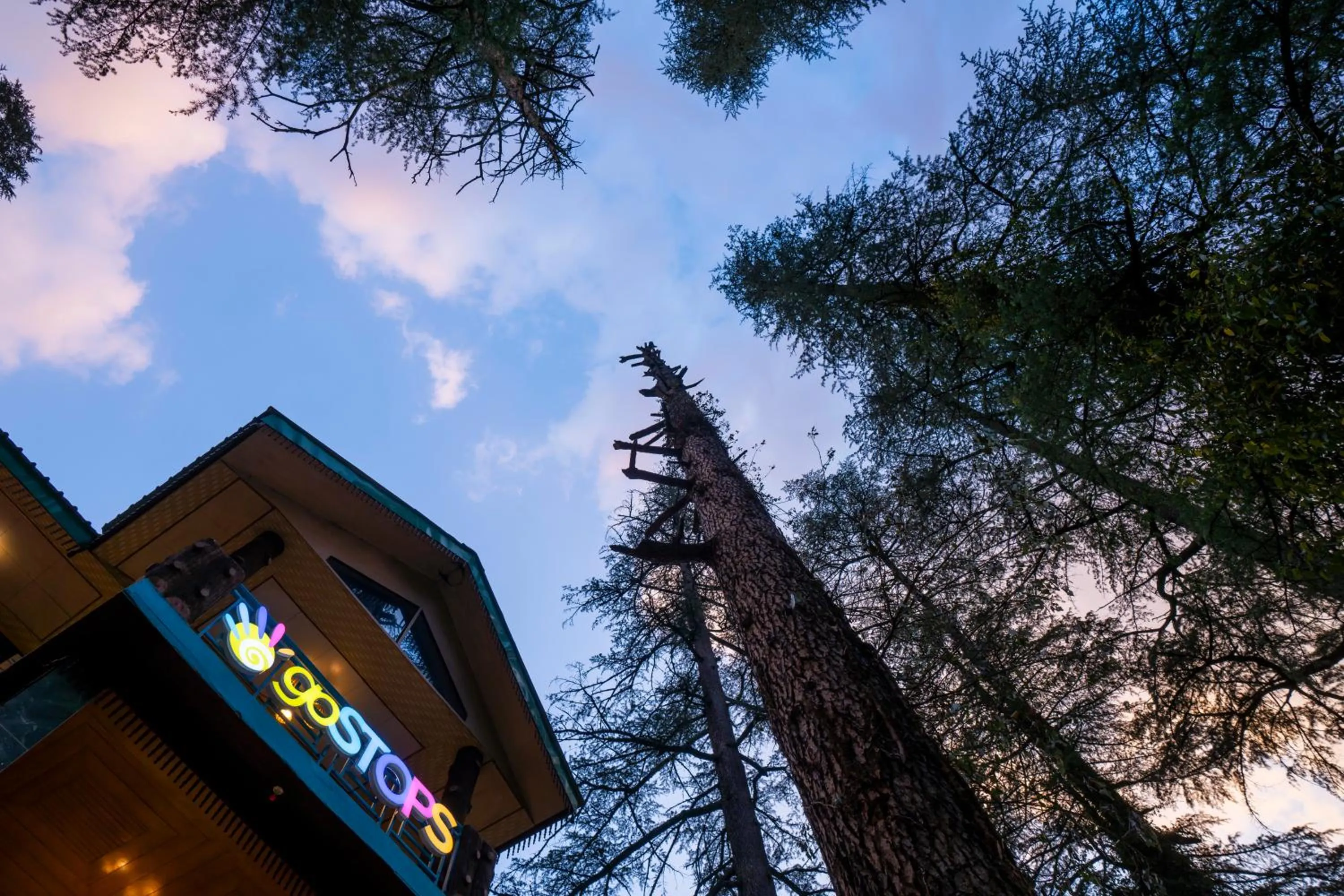 Property logo or sign in goSTOPS Kasol