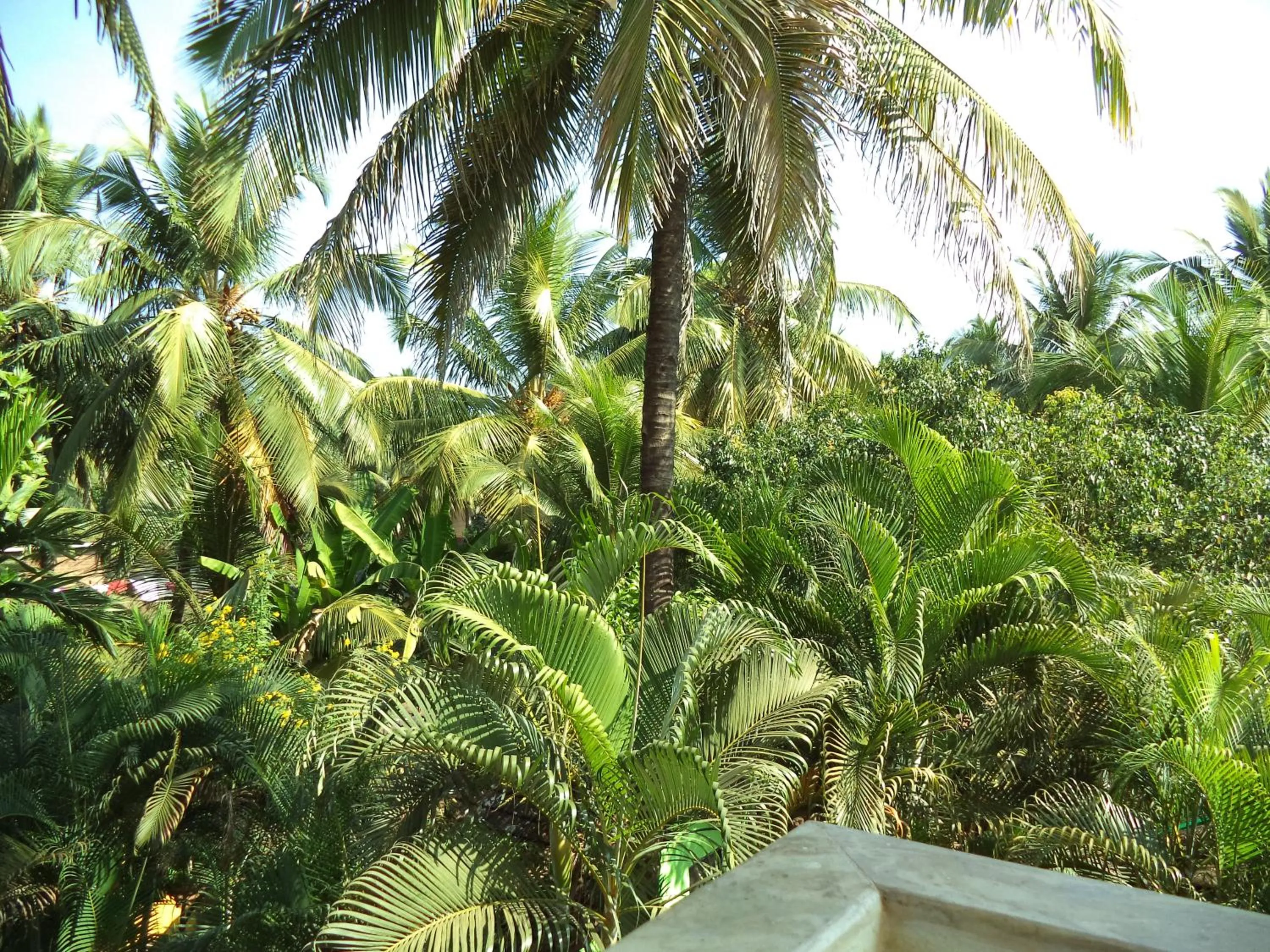 Garden view in Hotel Failaka