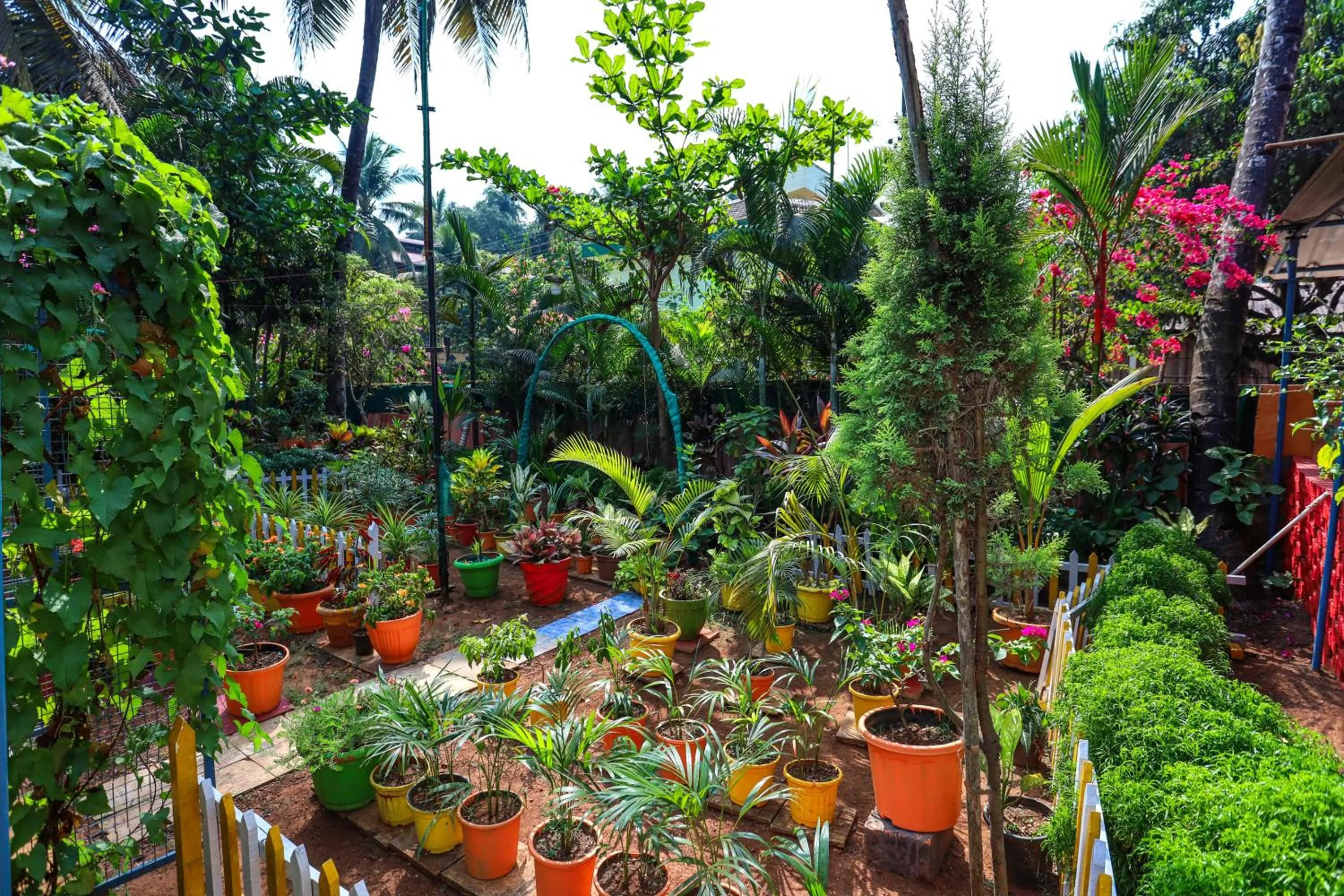 Garden in Hotel Failaka