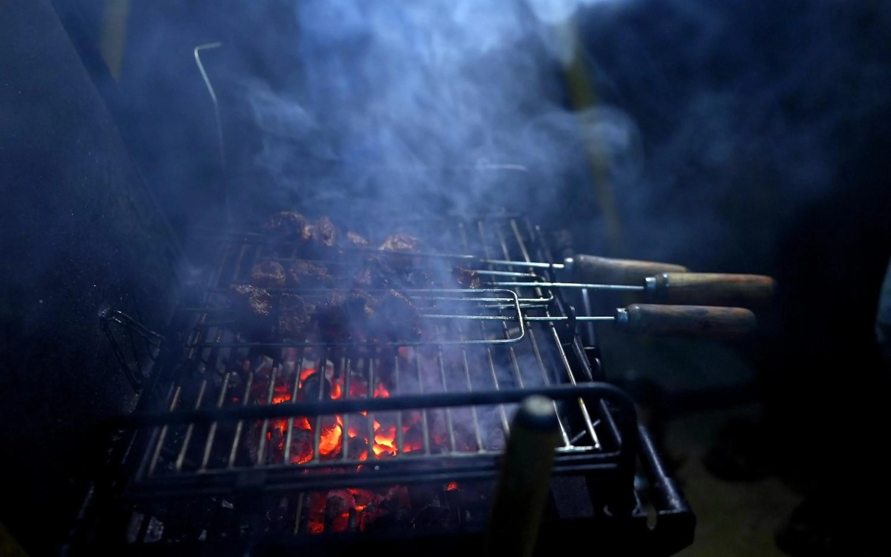 BBQ facilities in Vista Suites Doddabetta Ooty By Bestinn Leisure