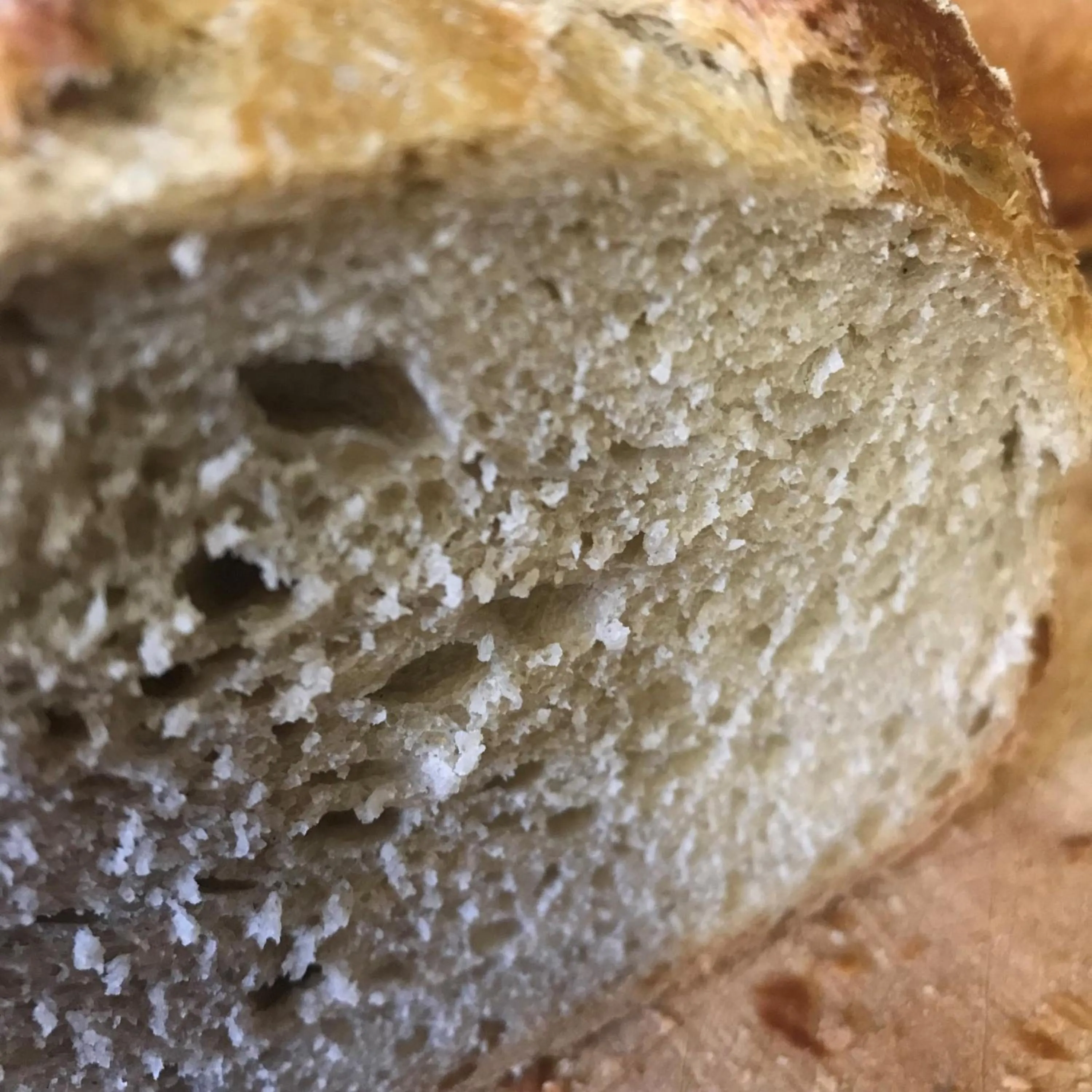 Restaurant/places to eat in Logis Hôtel du Chêne