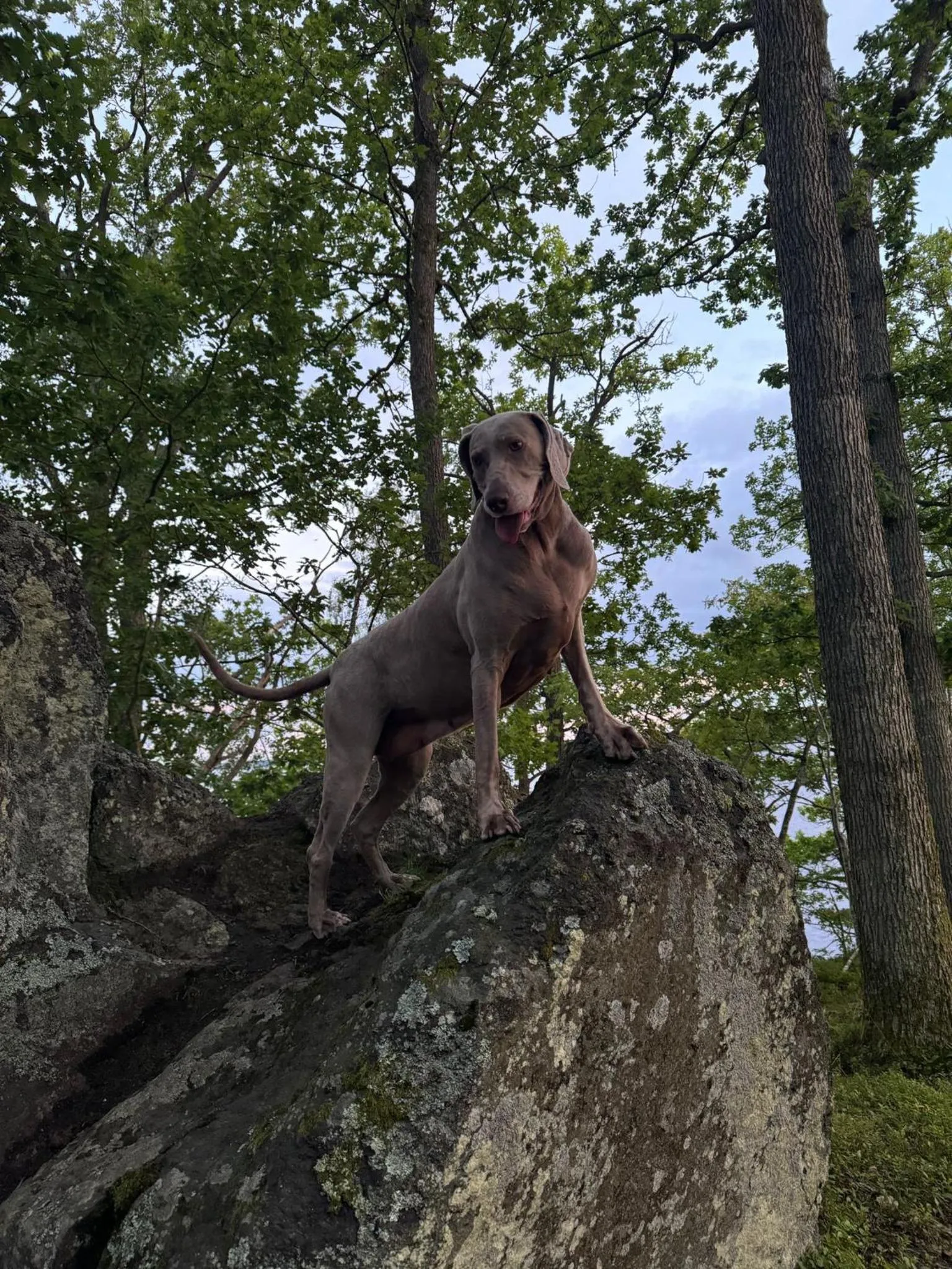 Activities in Möckelsnäs Herrgård