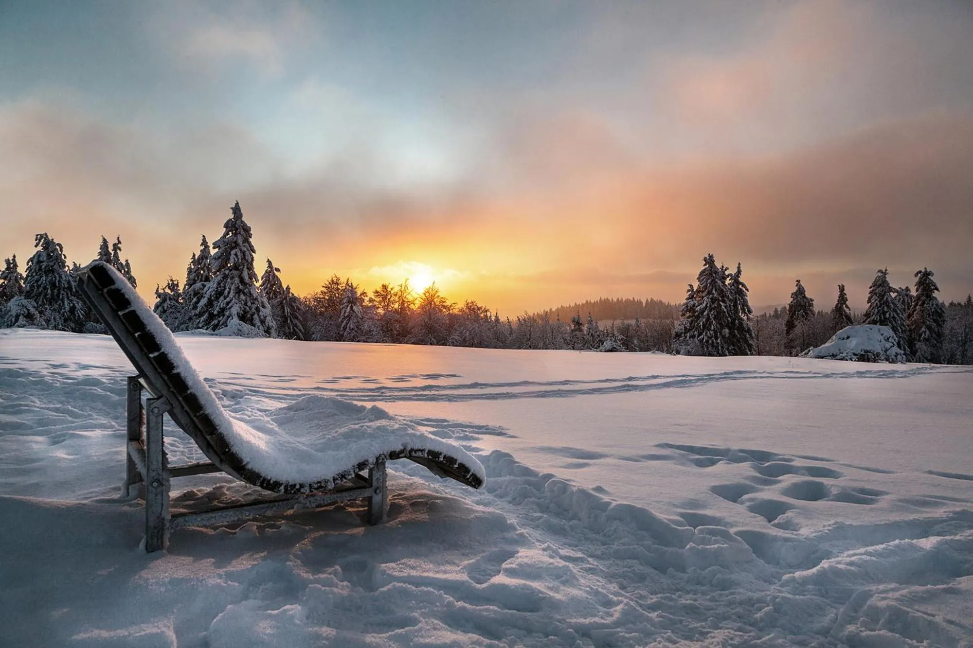 Natural landscape in Schlosshotel Brilon-Wald