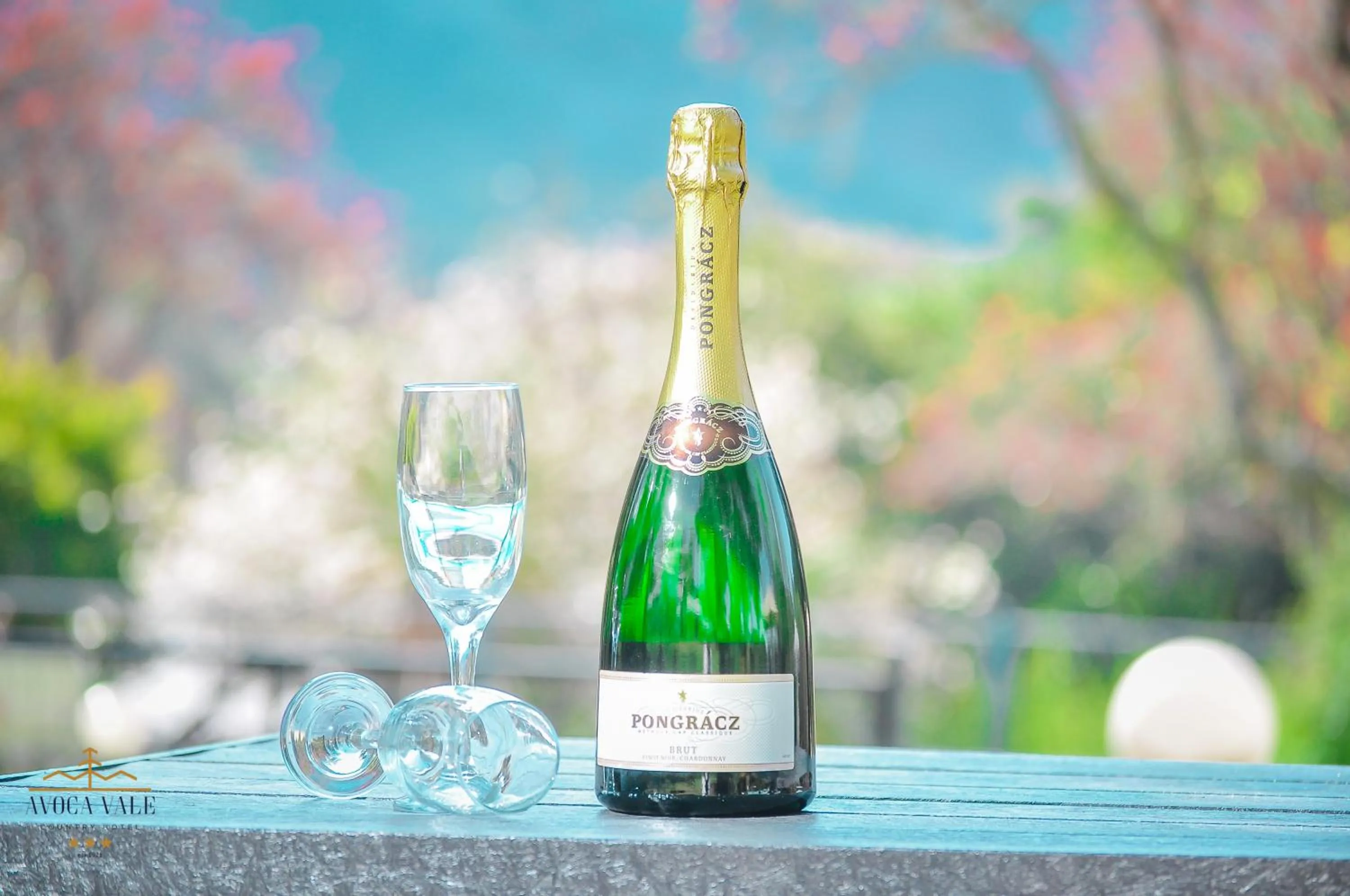 Drinks in Avoca Vale Country Hotel