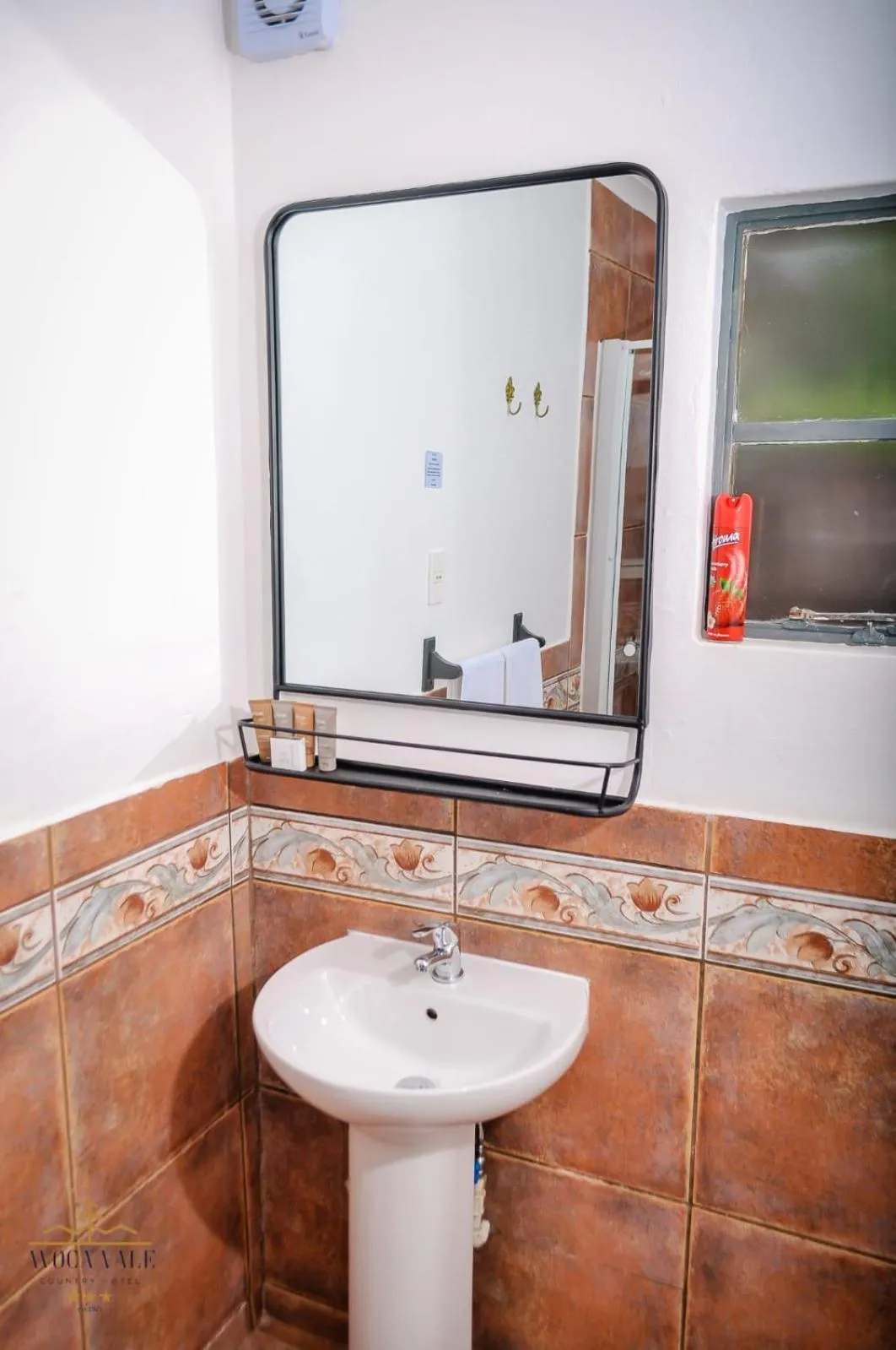 Toilet in Avoca Vale Country Hotel