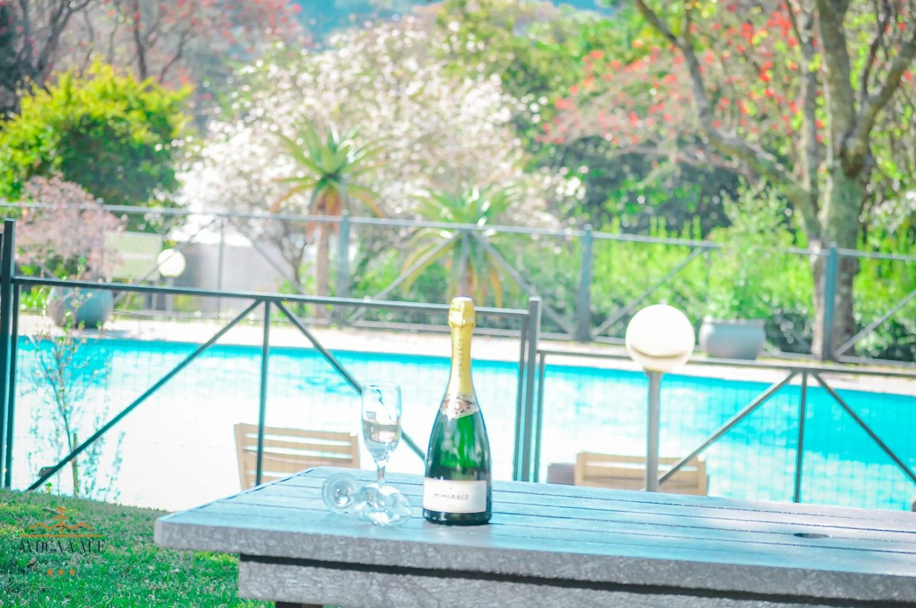 Pool view in Avoca Vale Country Hotel