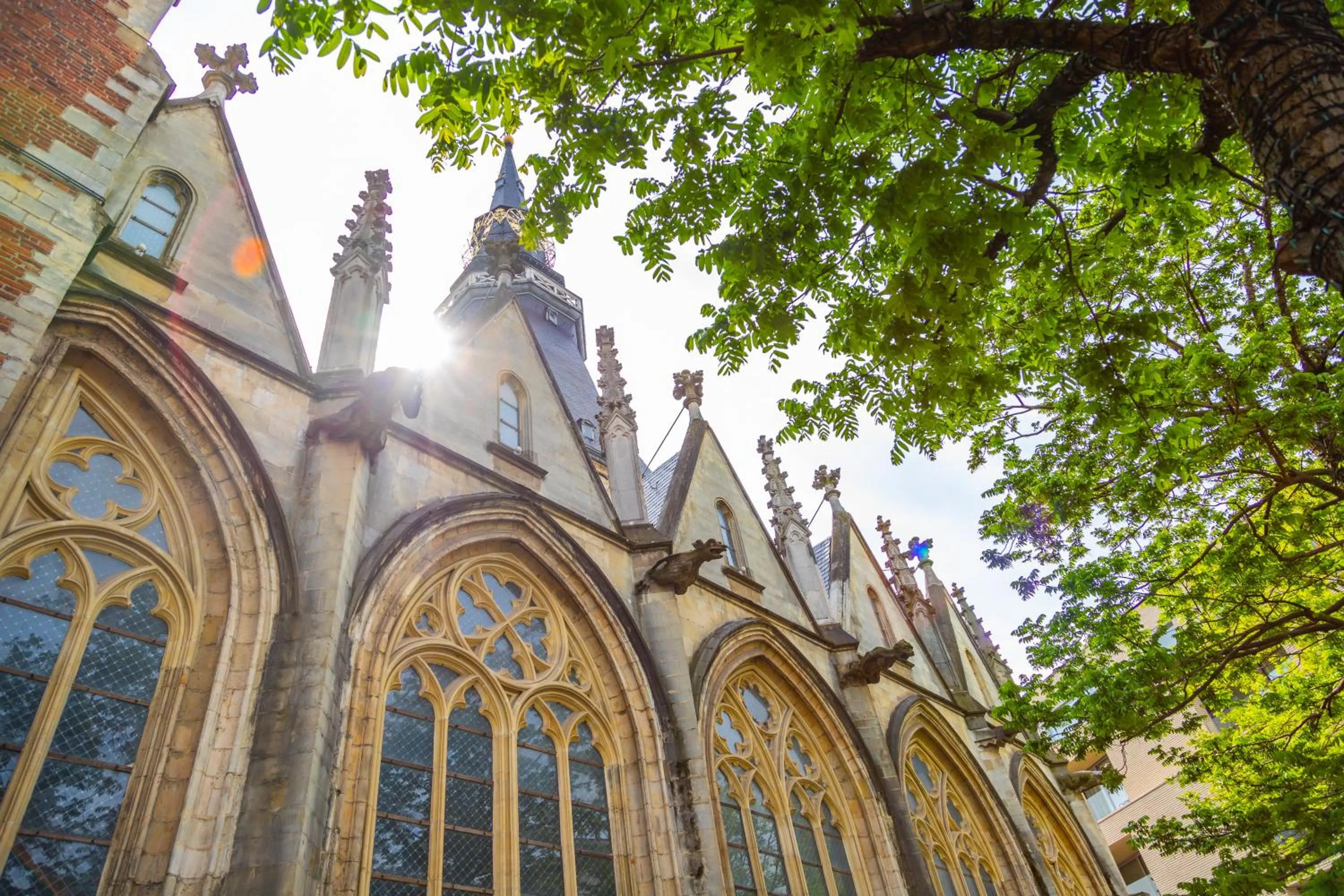 Nearby landmark in EuroParcs Hoge Kempen