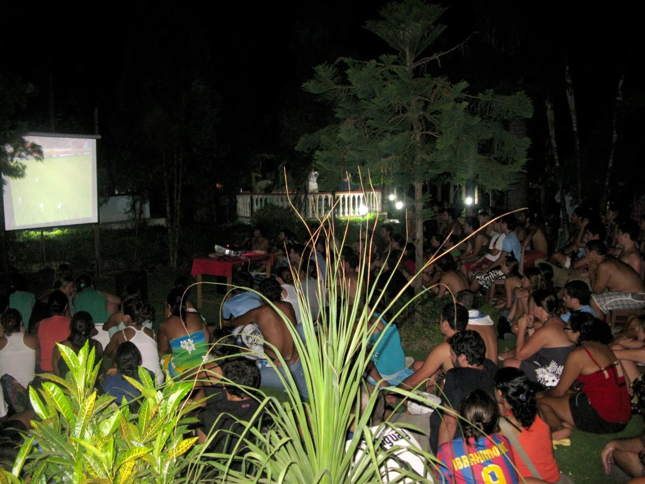Evening entertainment in Jungle Safari Resort