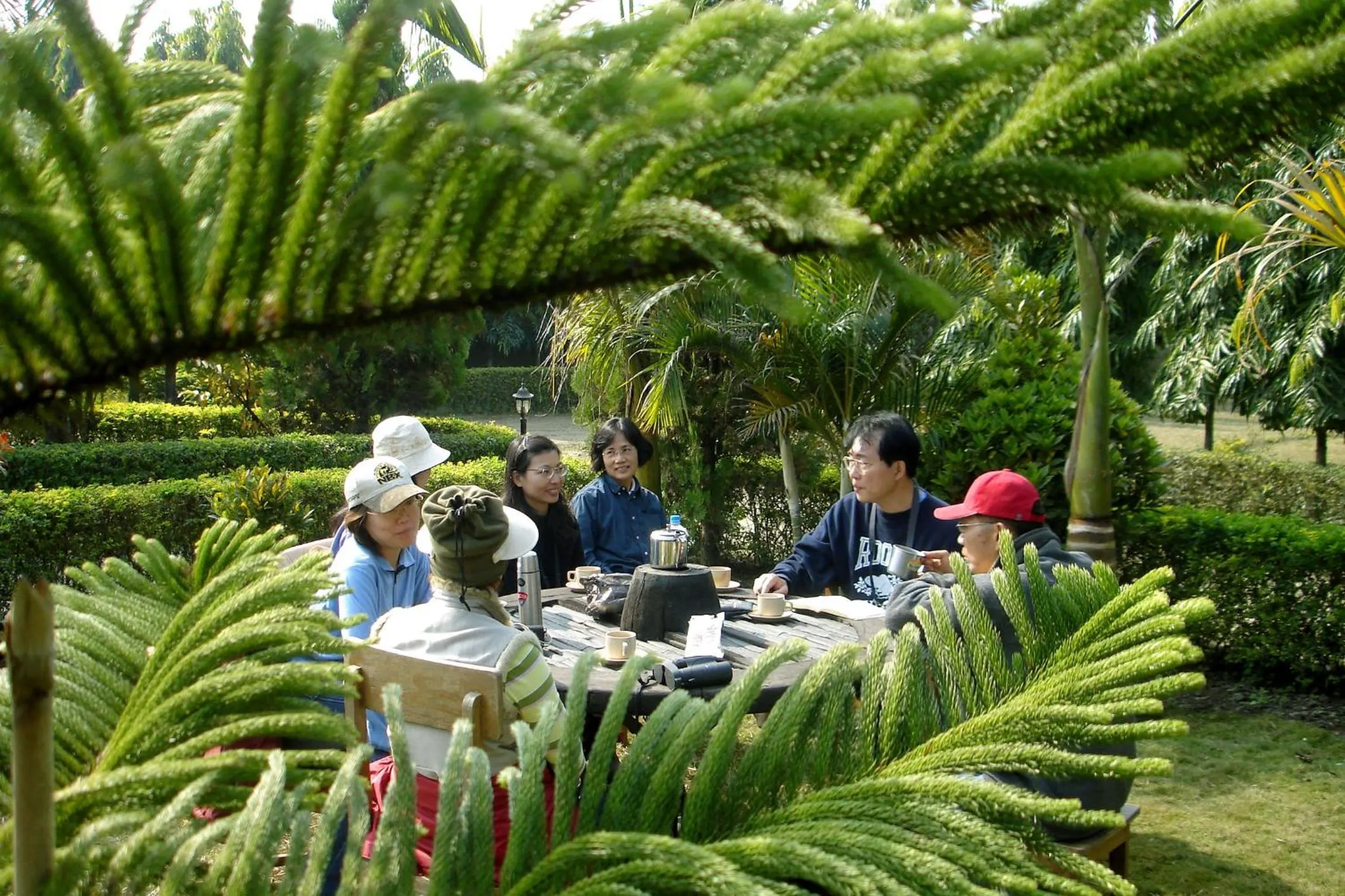 Restaurant/places to eat in Jungle Safari Resort