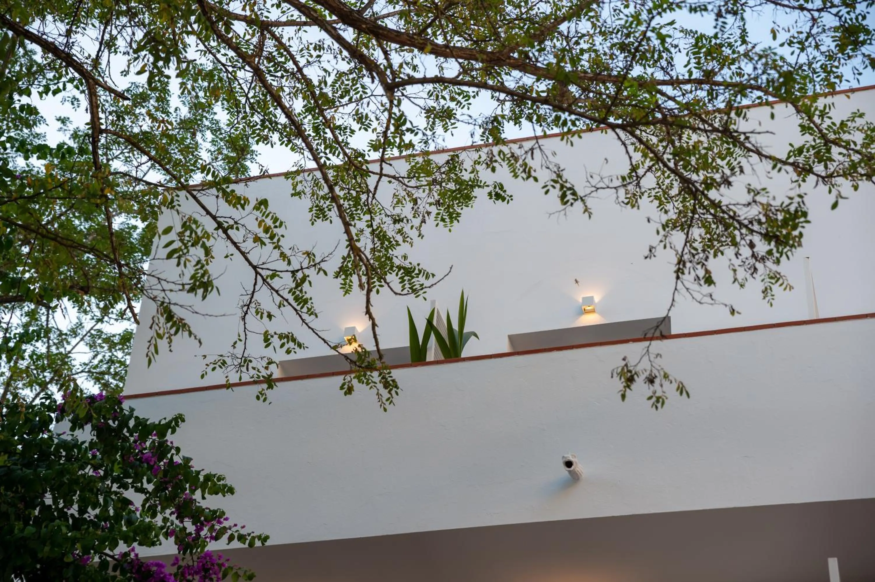 Facade/entrance in Hostal Es Niu de Tamariu