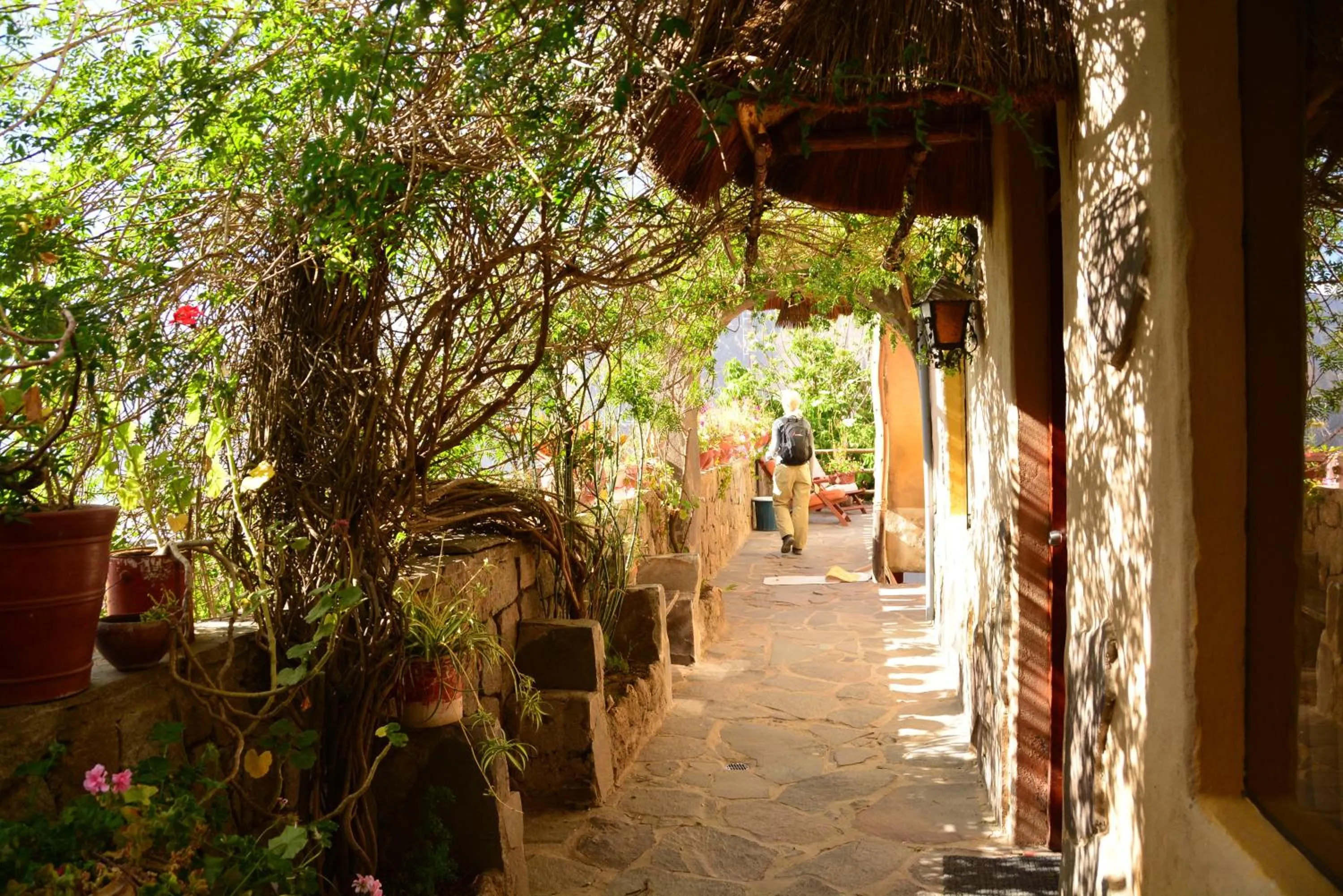Facade/entrance in Hotel Kuntur Wassi