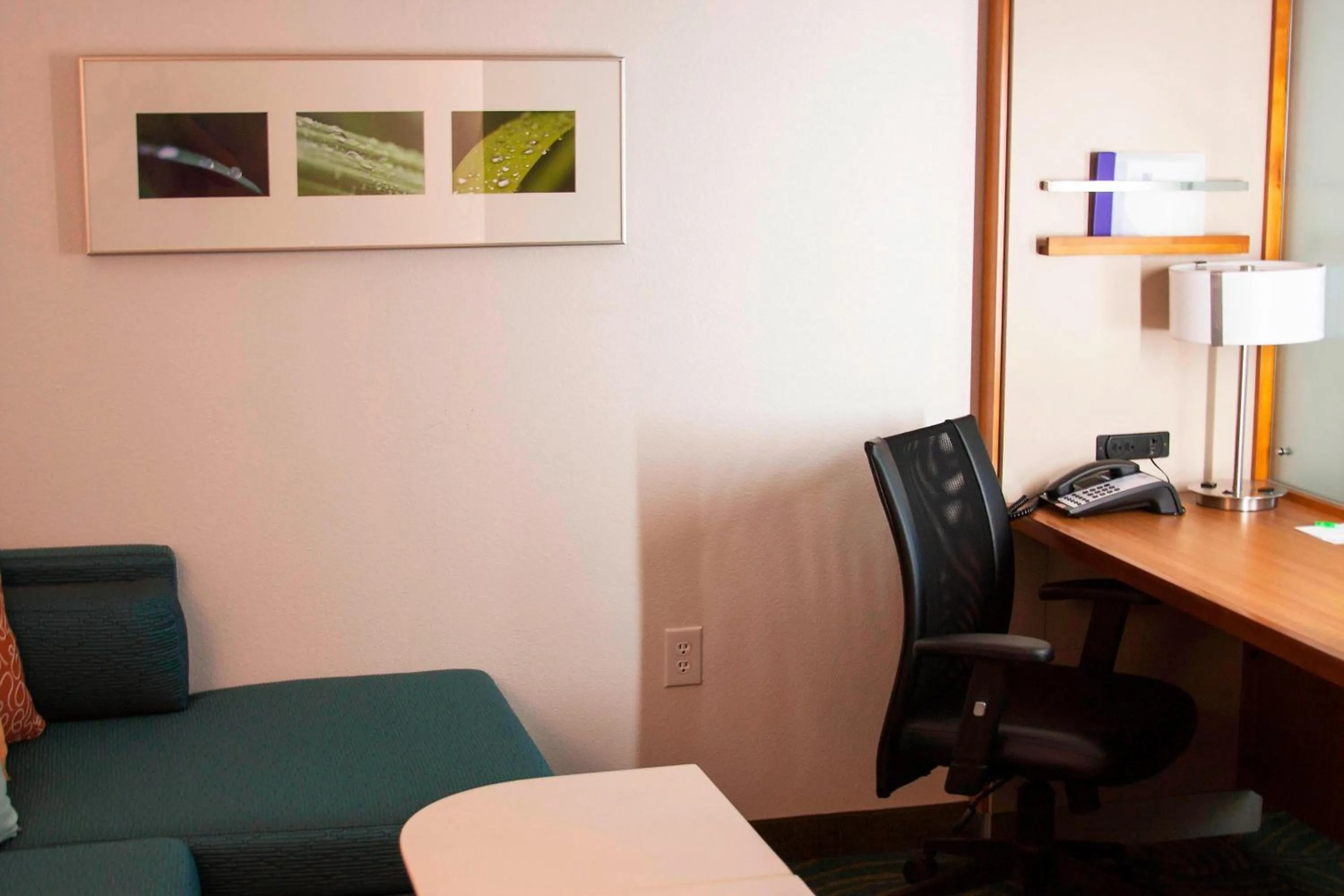 Photo of the whole room in SpringHill Suites by Marriott Corpus Christi