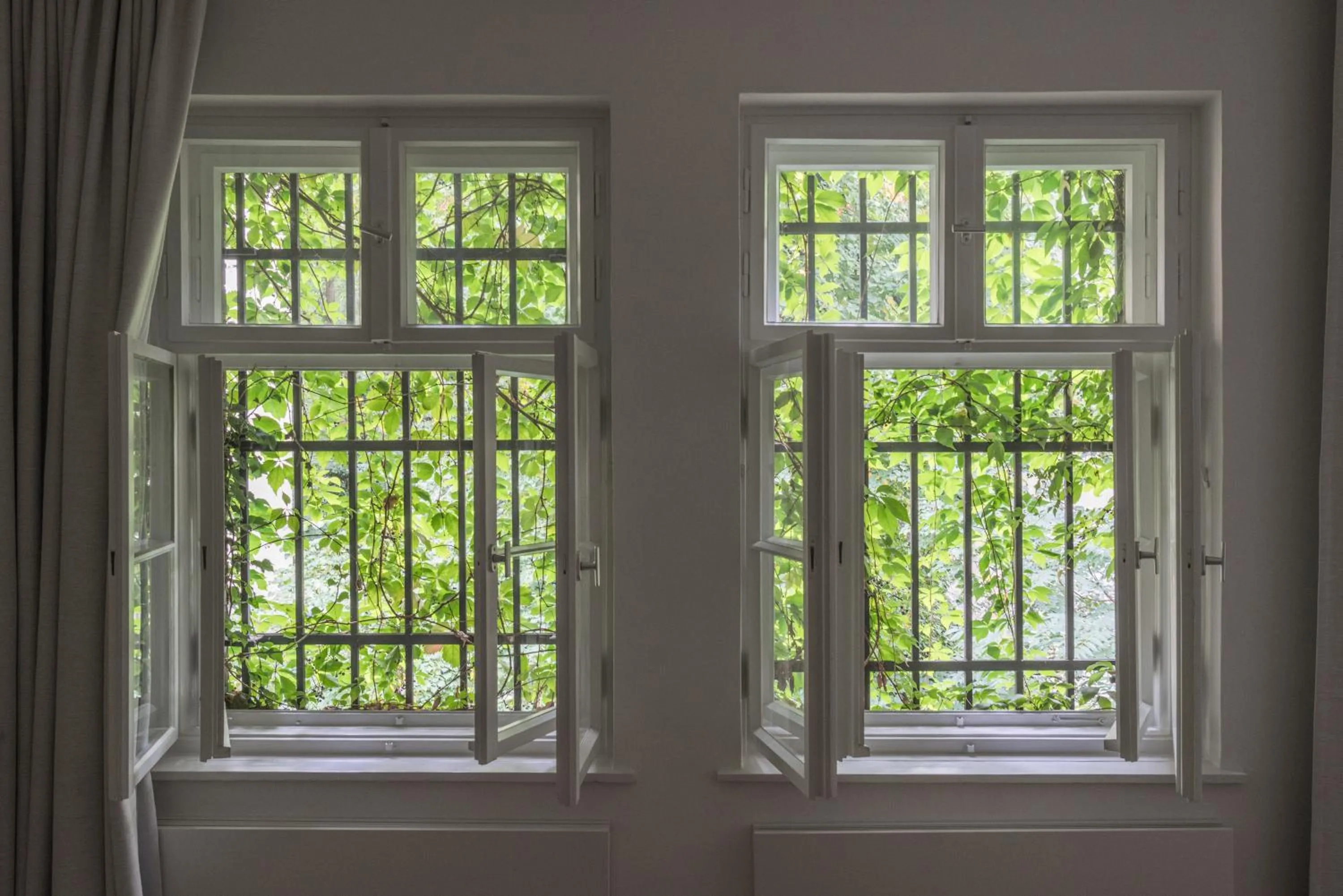 View (from property/room) in Wilmina Hotel