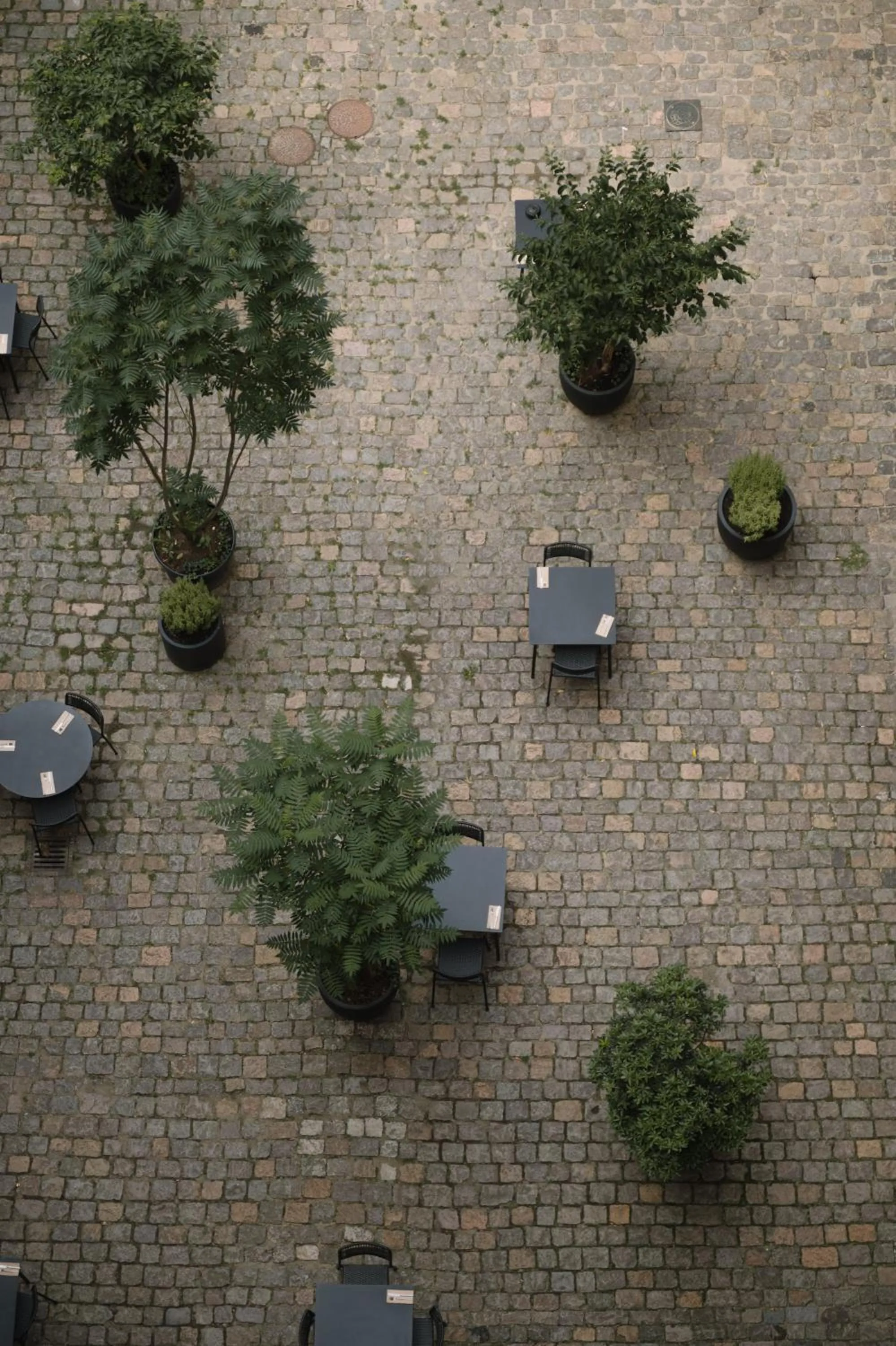 View (from property/room) in Wilmina Hotel