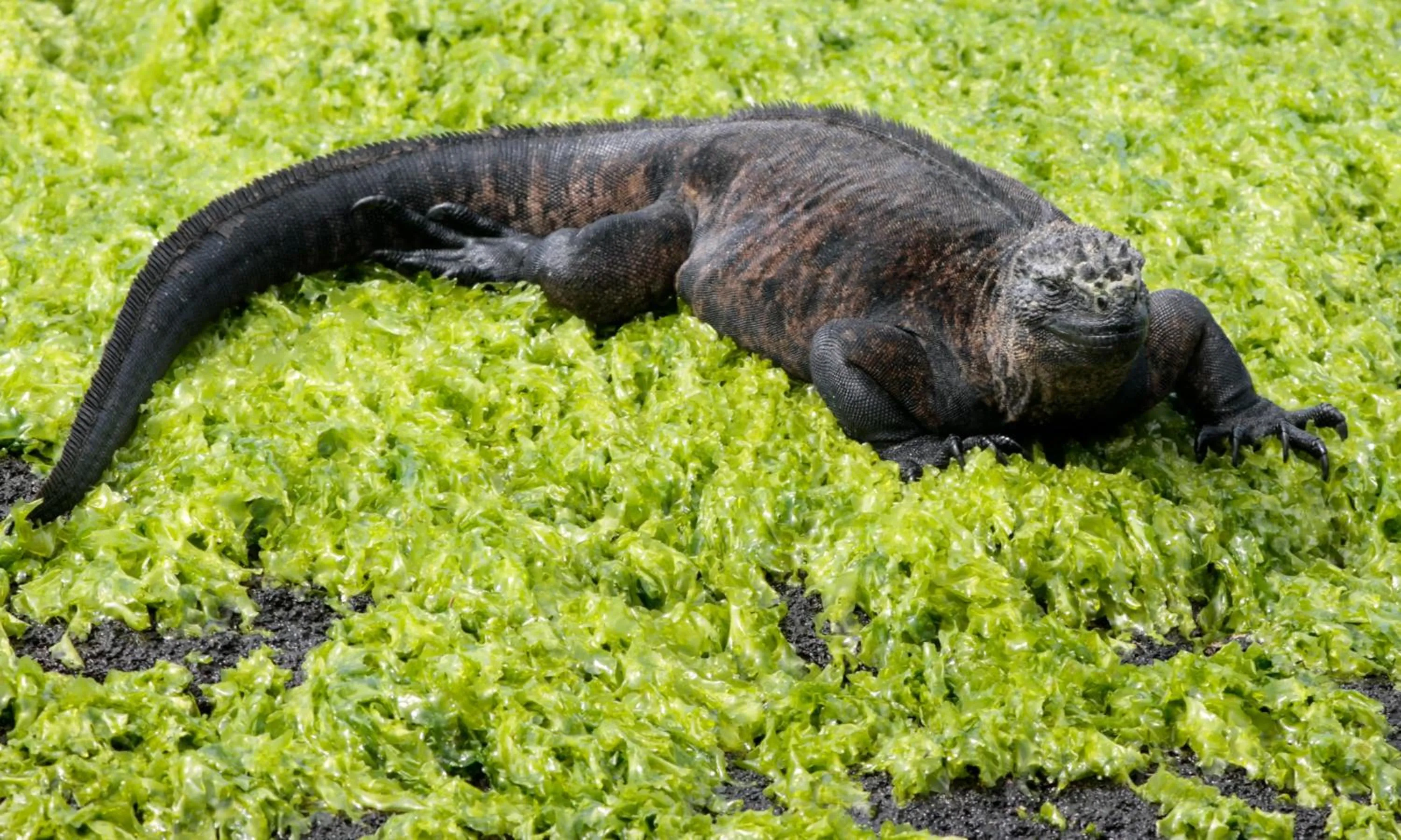 Activities in Paraiso de Isabela