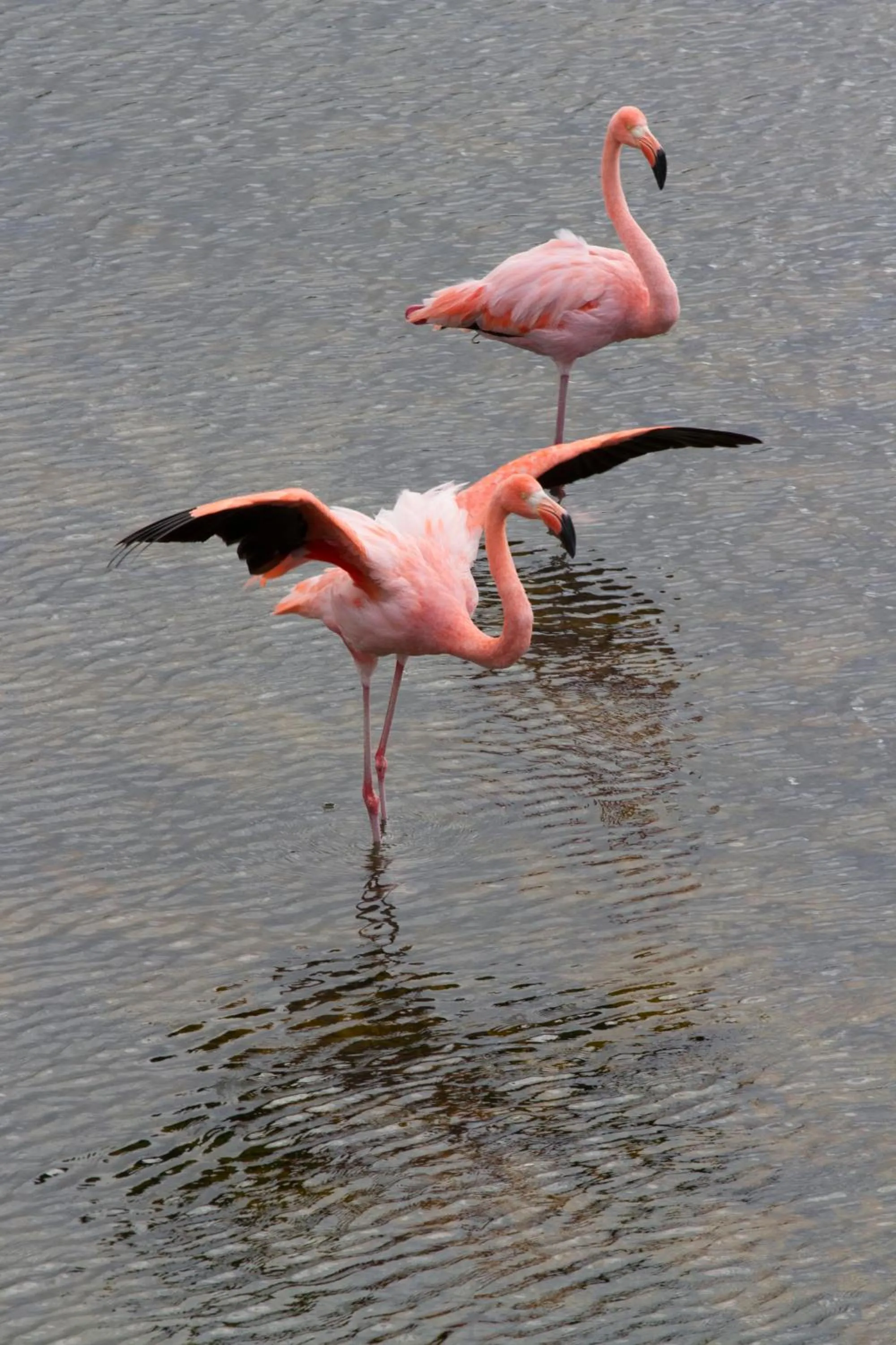 Activities in Paraiso de Isabela
