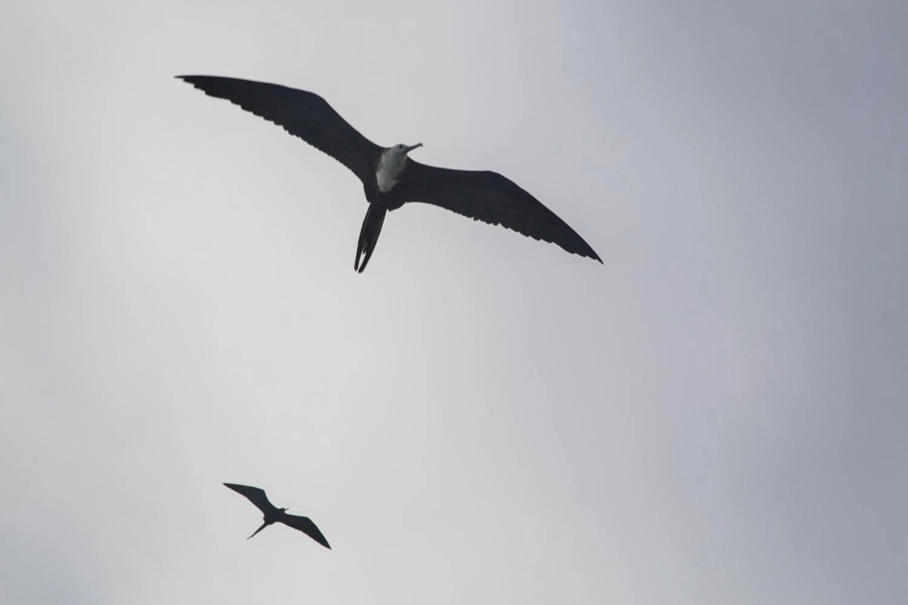 Activities in Paraiso de Isabela