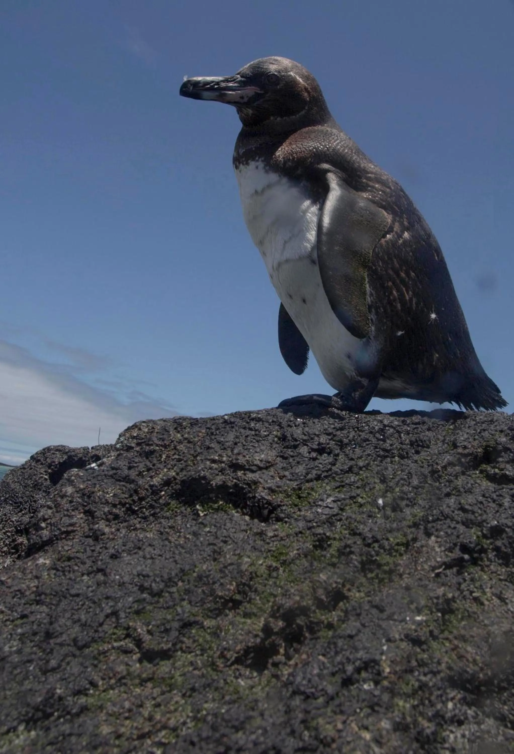 Activities in Paraiso de Isabela