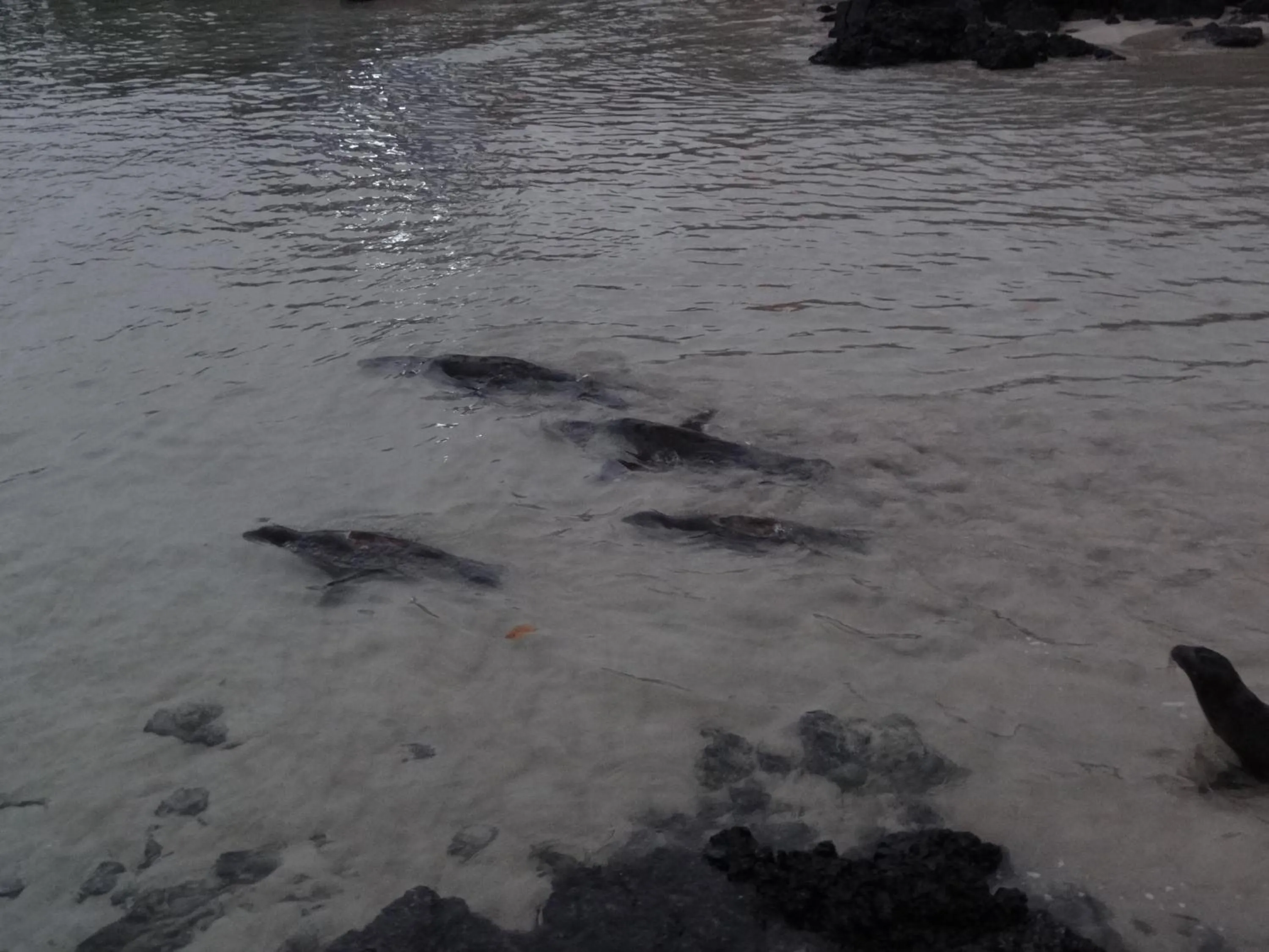 Nearby landmark in Paraiso de Isabela