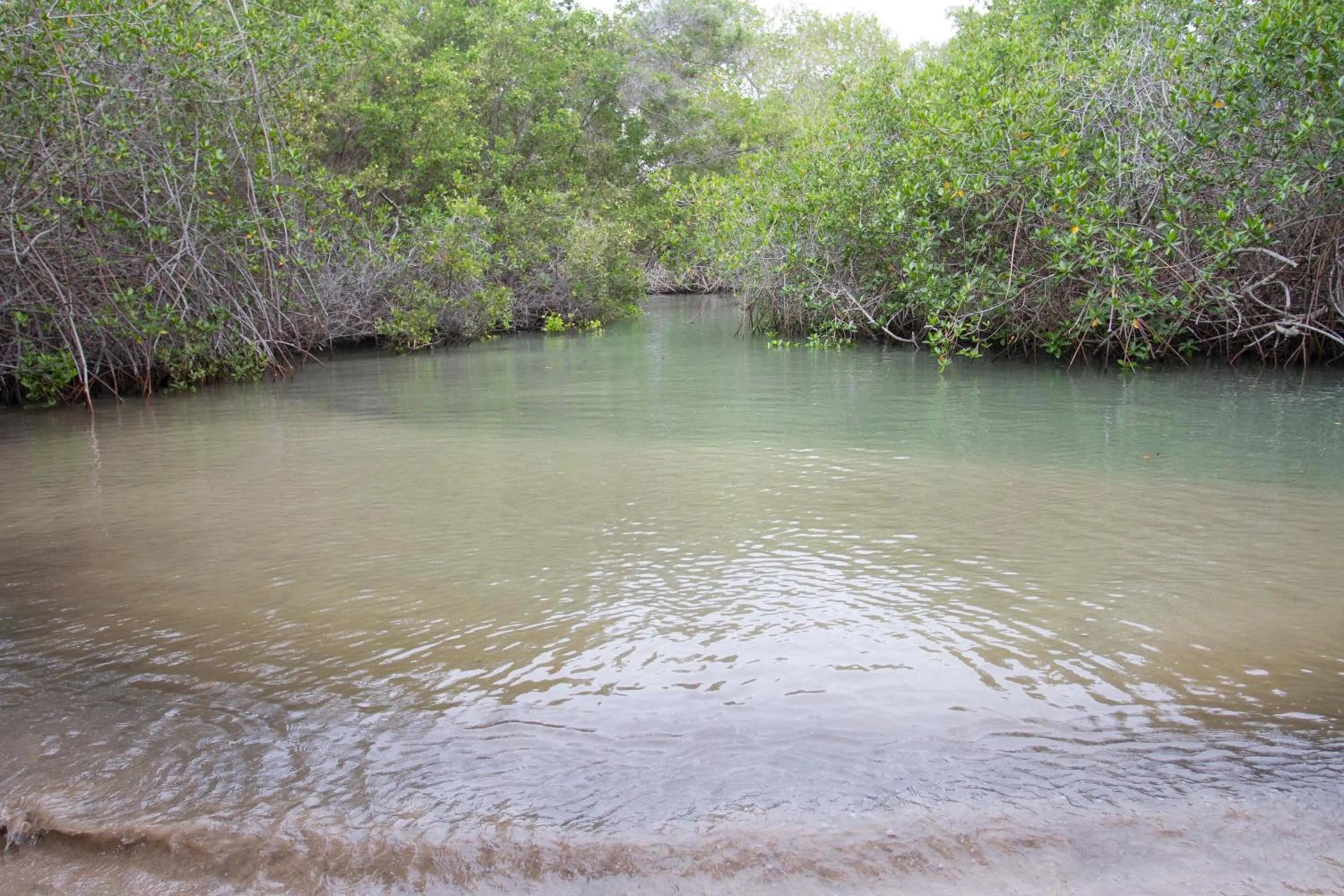 Natural landscape in Paraiso de Isabela