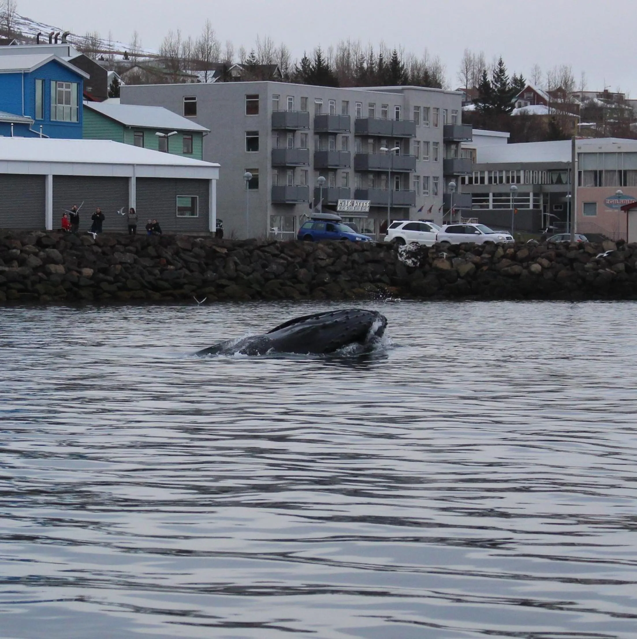 Beach in Hildibrand Apartment Hotel
