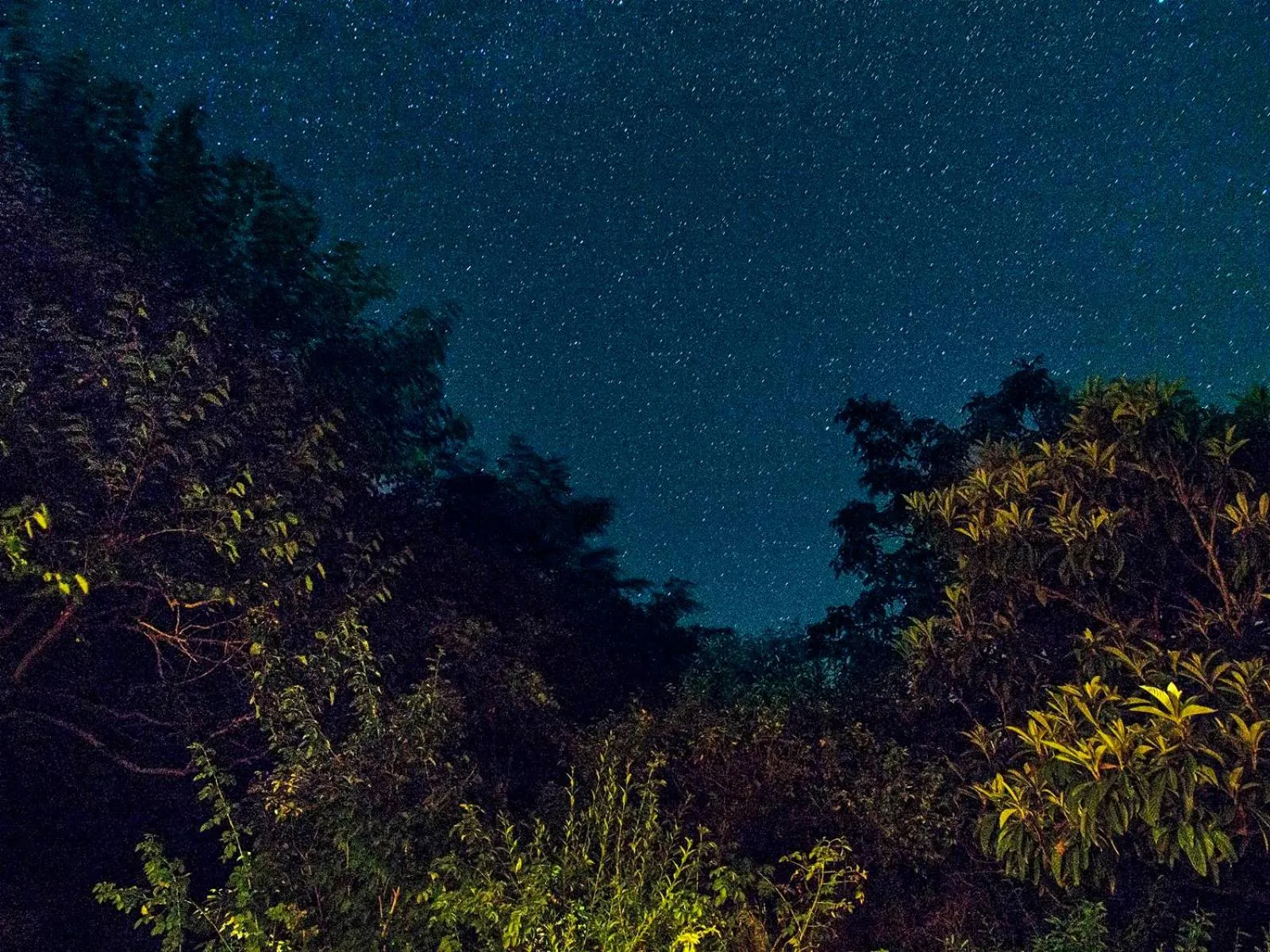 Natural landscape in Casa La Valle, Gubbio, Frazione Santa Cristina