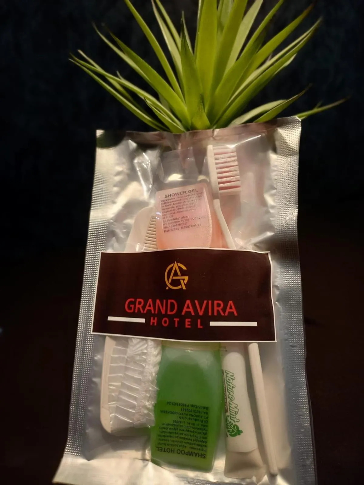 Property logo or sign in Grand Avira Hotel