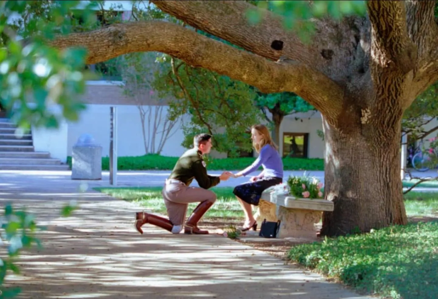 Full Kitchen, Beautiful & Brilliant Apt B