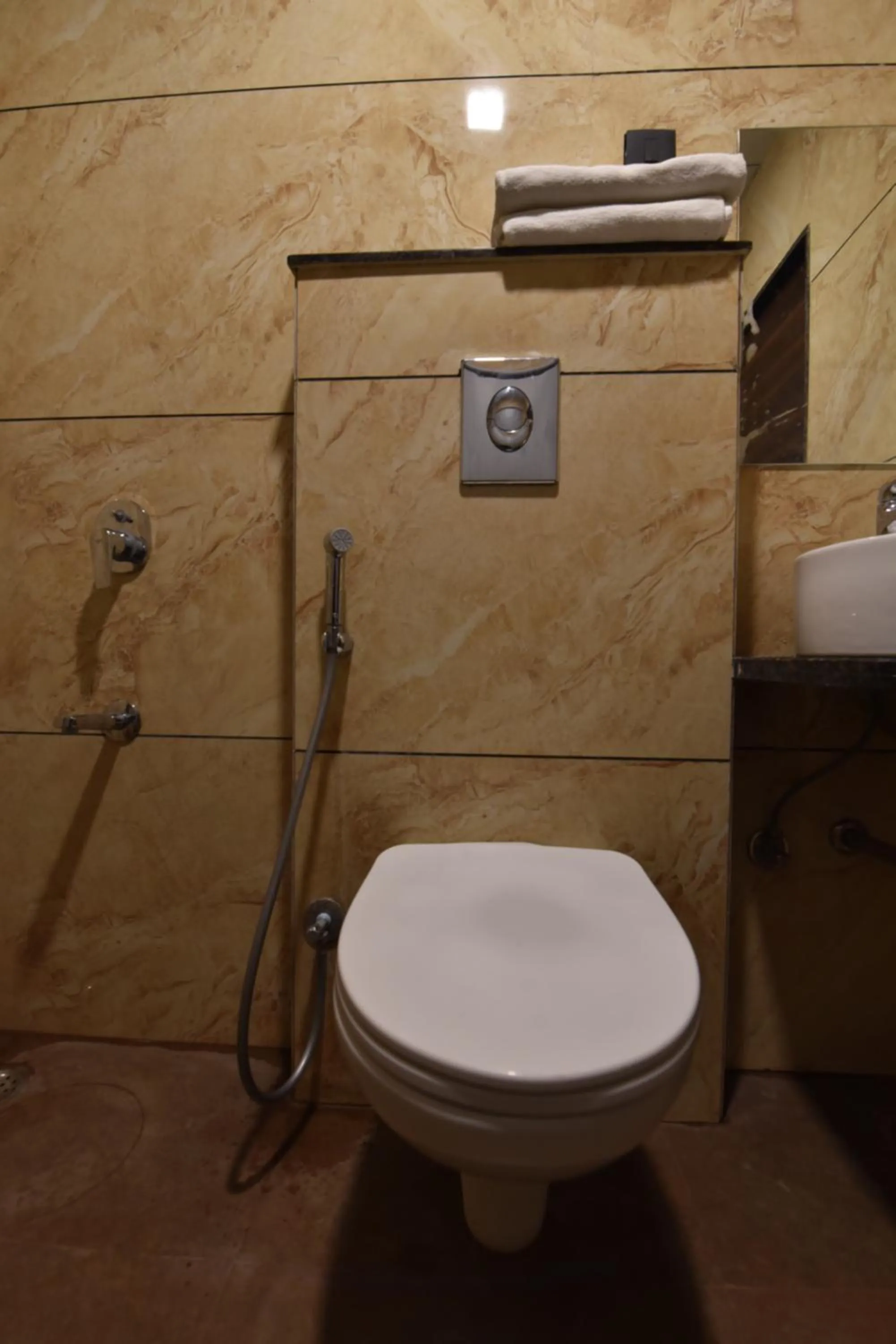 Shower in Hotel Dosa plaza