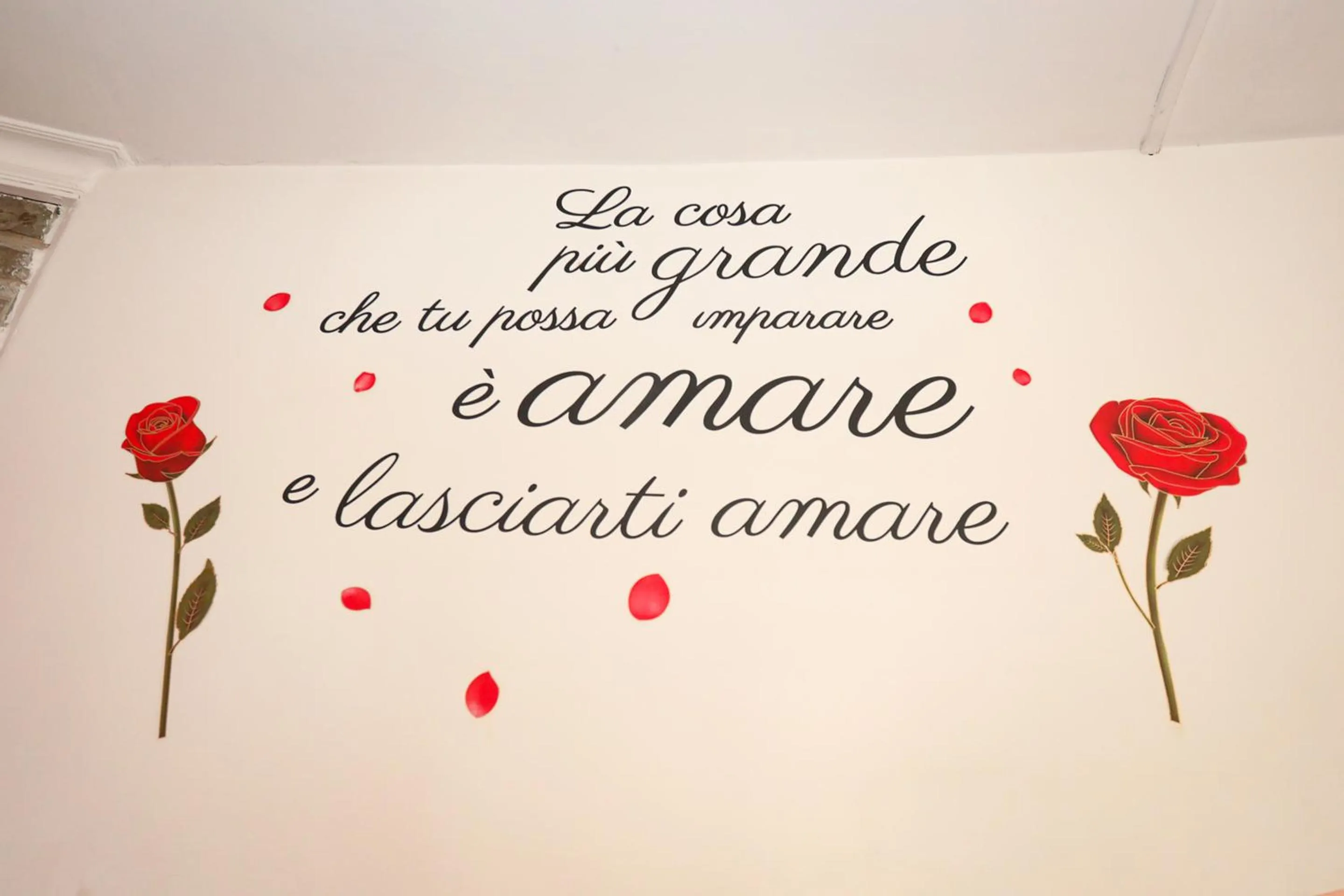 Movie Home Guesthouse