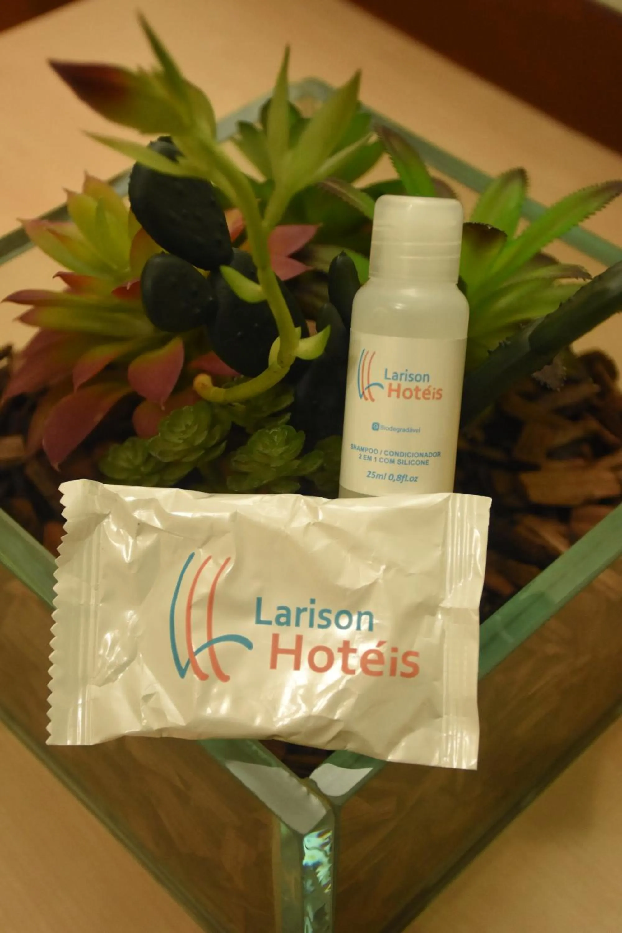 Property logo or sign in Larison Ji-Paraná by - Easy Hotéis