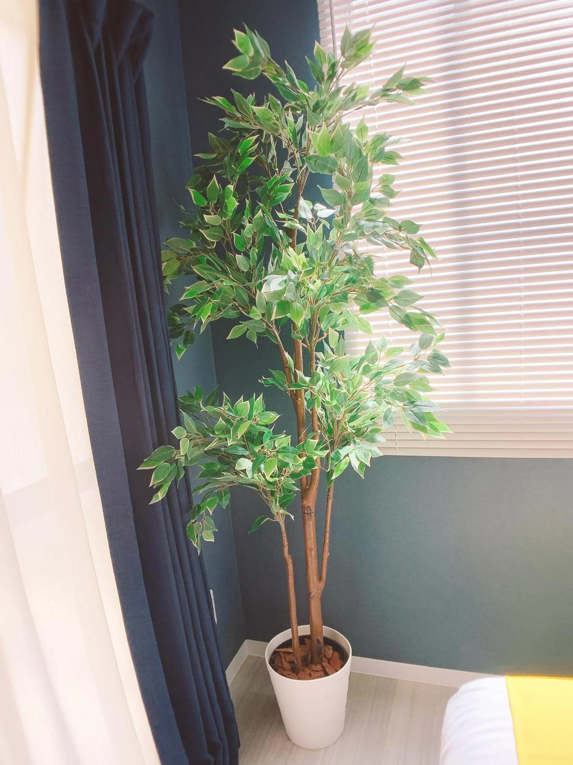 OUCHI HOTEL Nagarekawa with Dogs