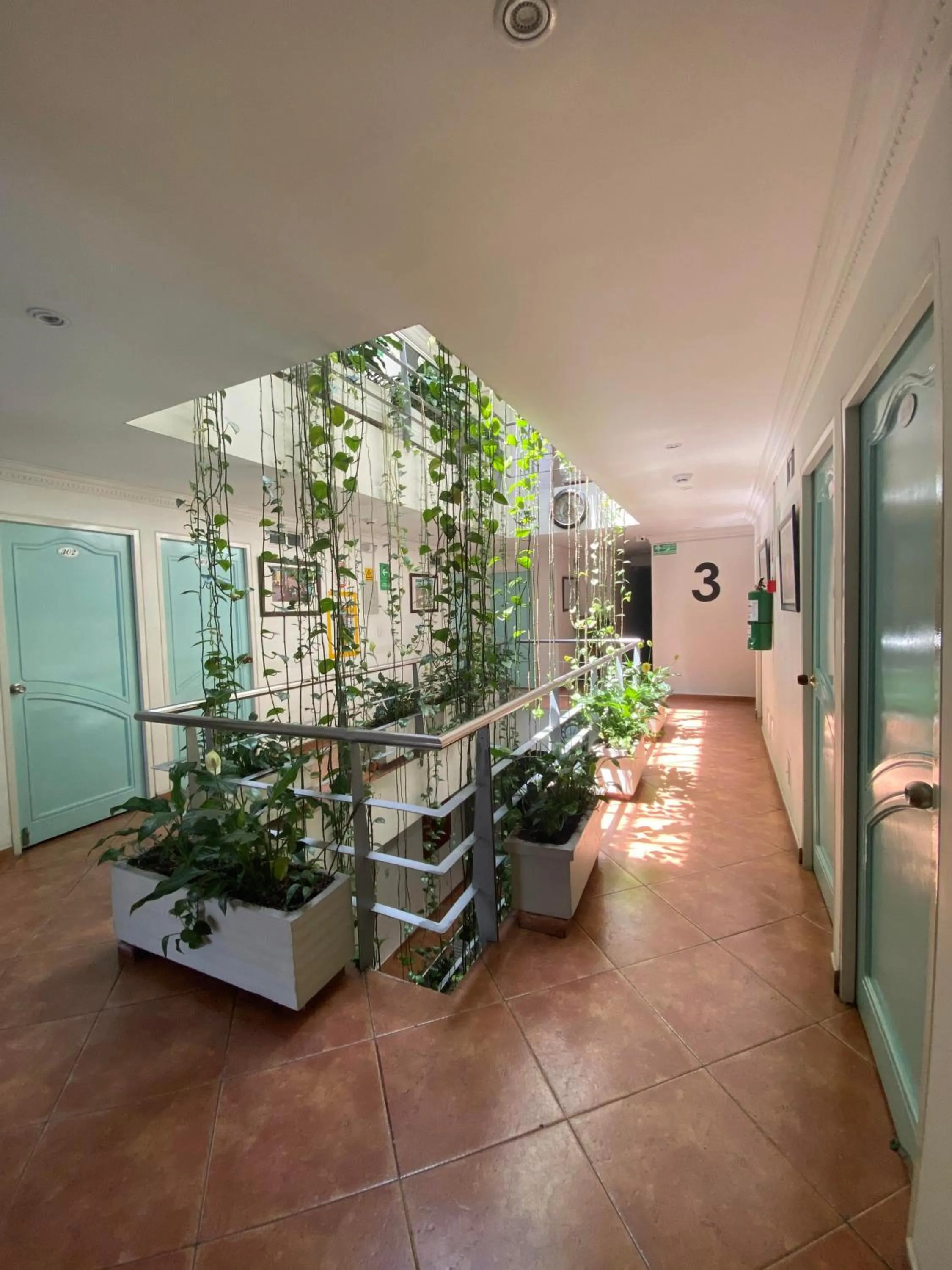 Area and facilities in Hotel Picasso Inn